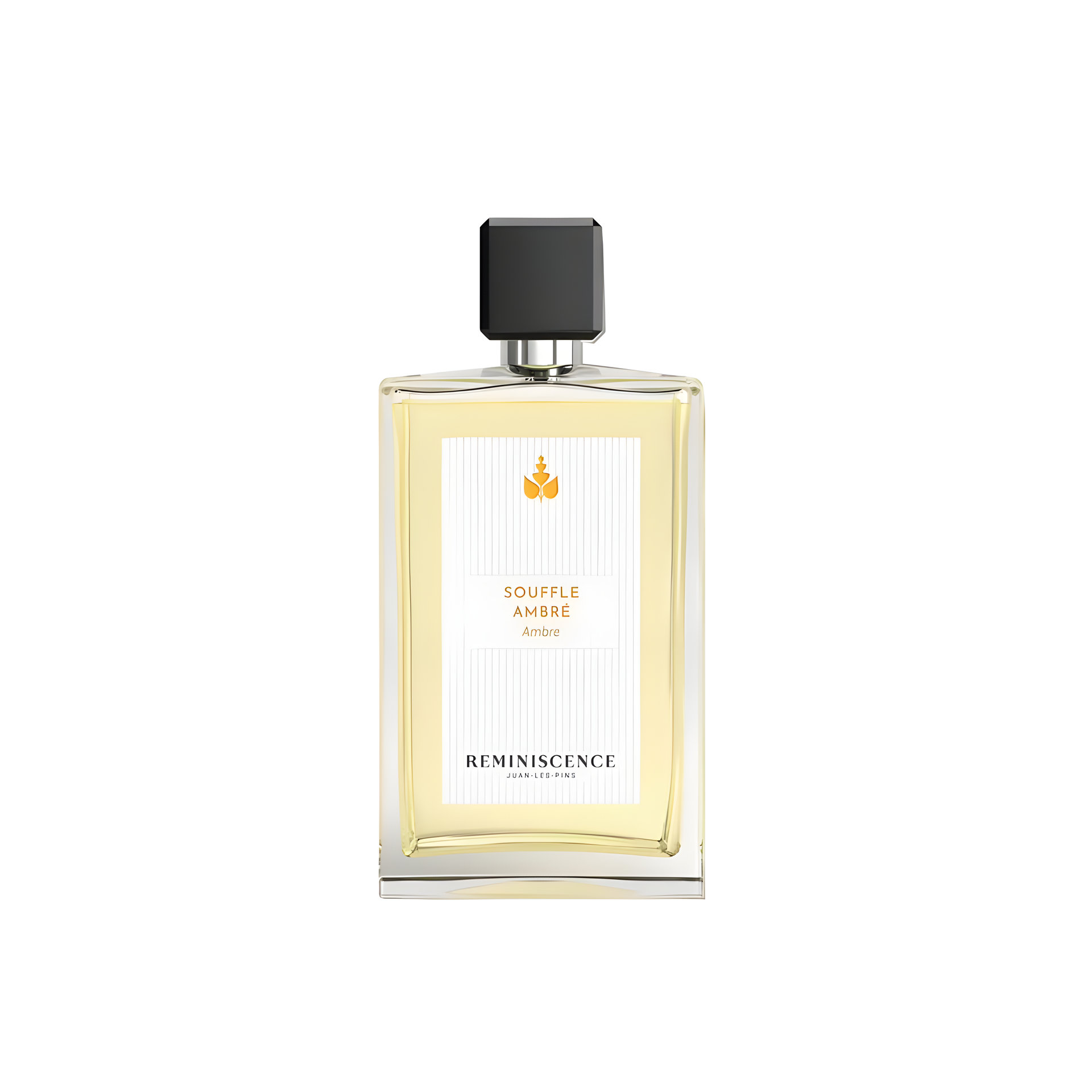 Picture of Souffle Ambré fragrance