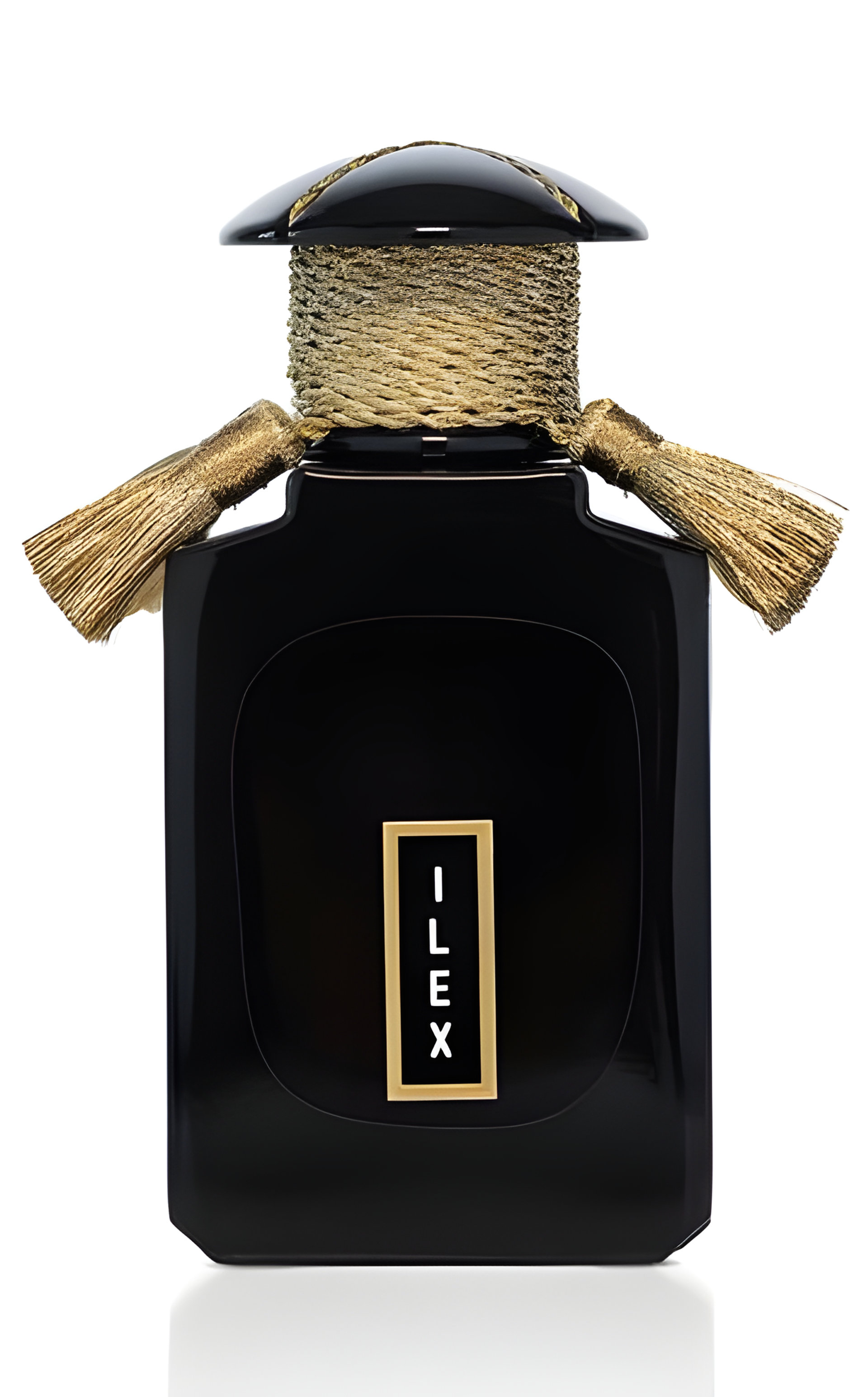 Picture of Ilex fragrance