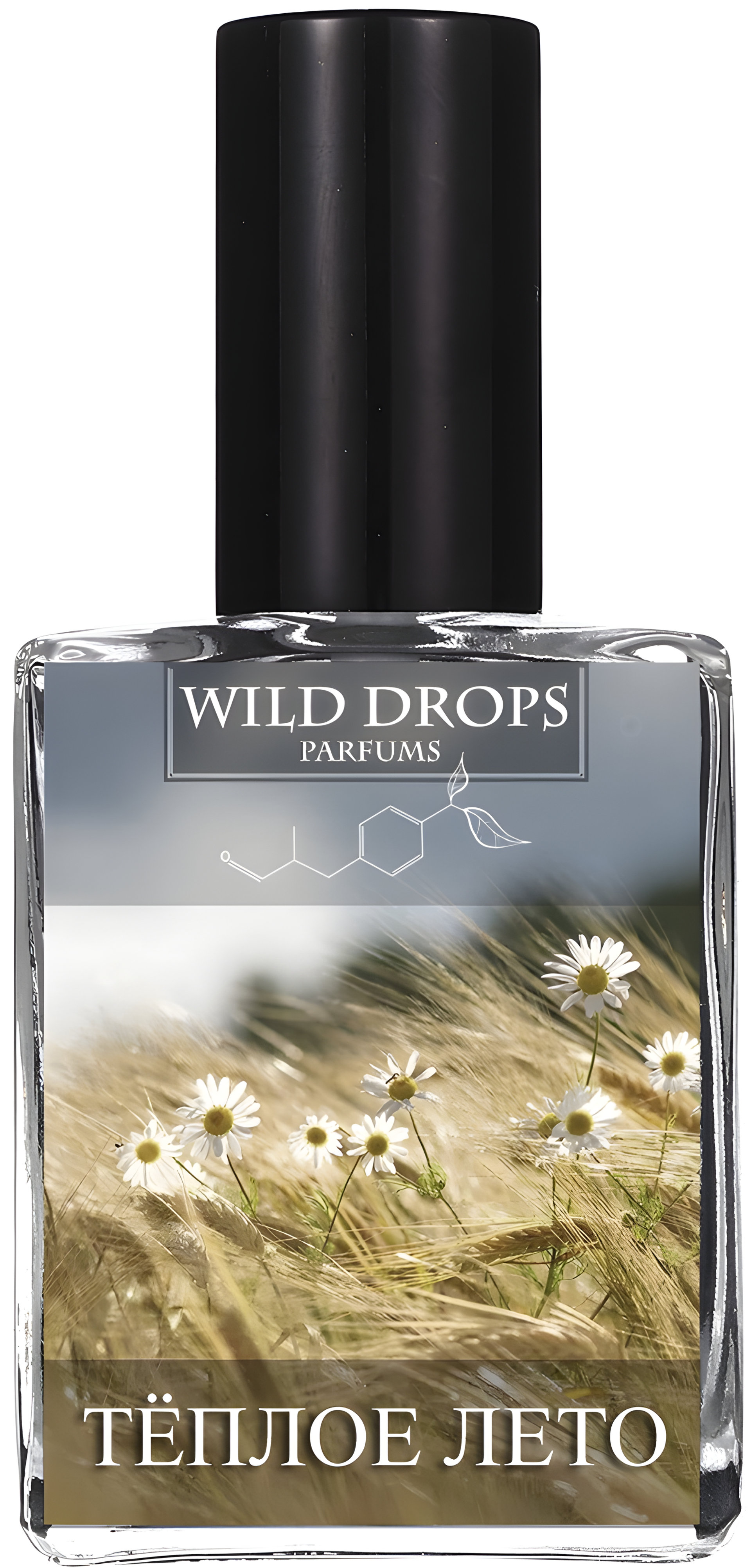 Picture of Warm Summer 2 (Теплое Лето 2) fragrance