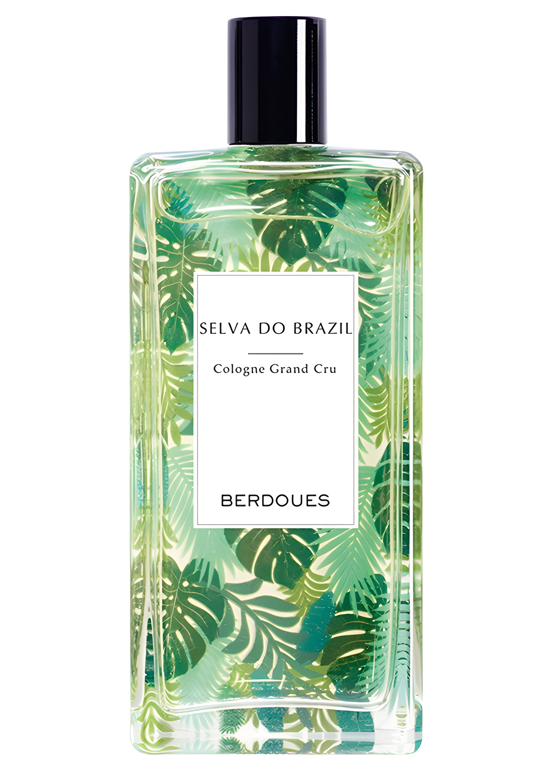 Picture of Selva Do Brazil fragrance