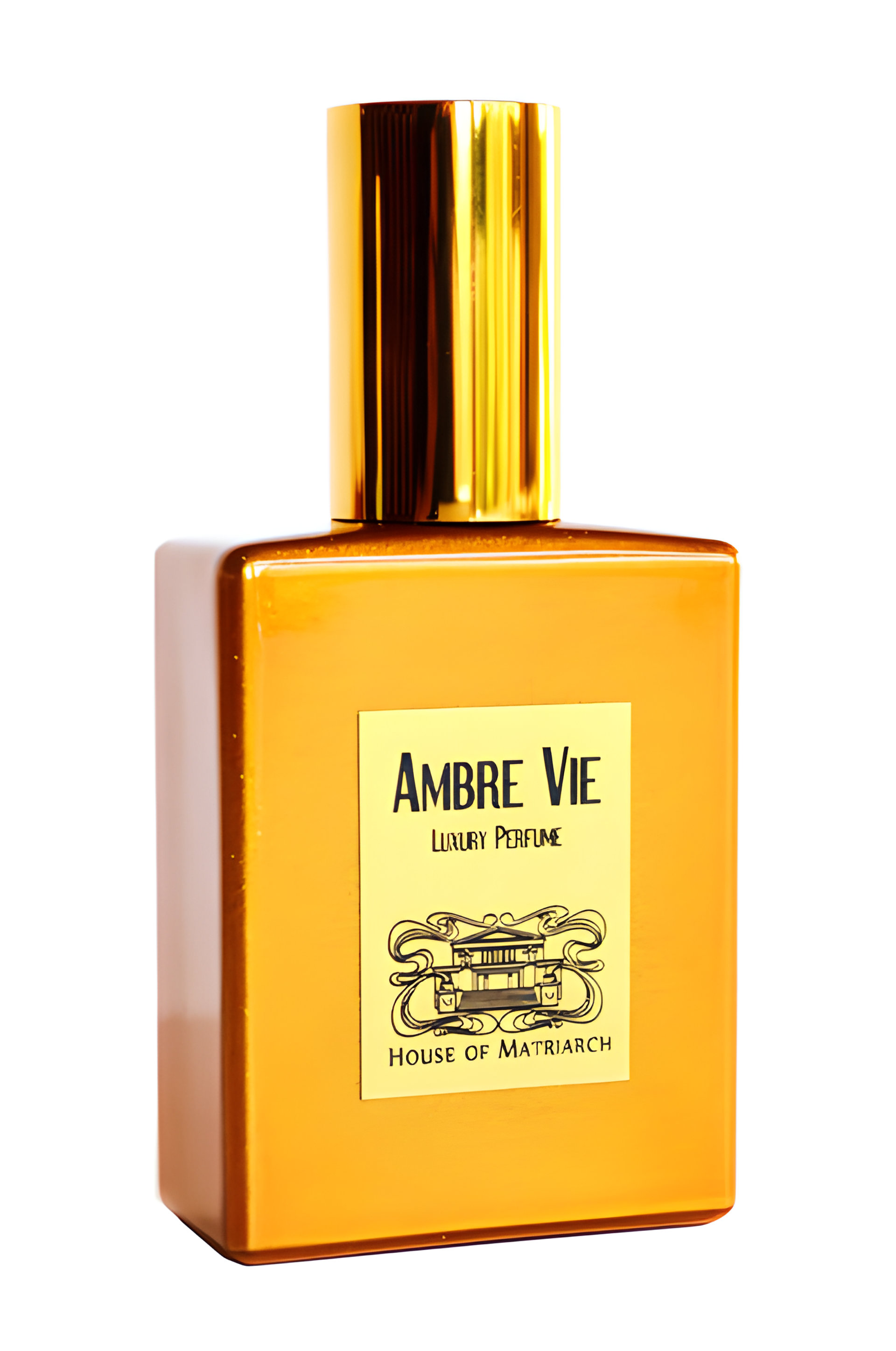 Picture of Ambre Vie fragrance