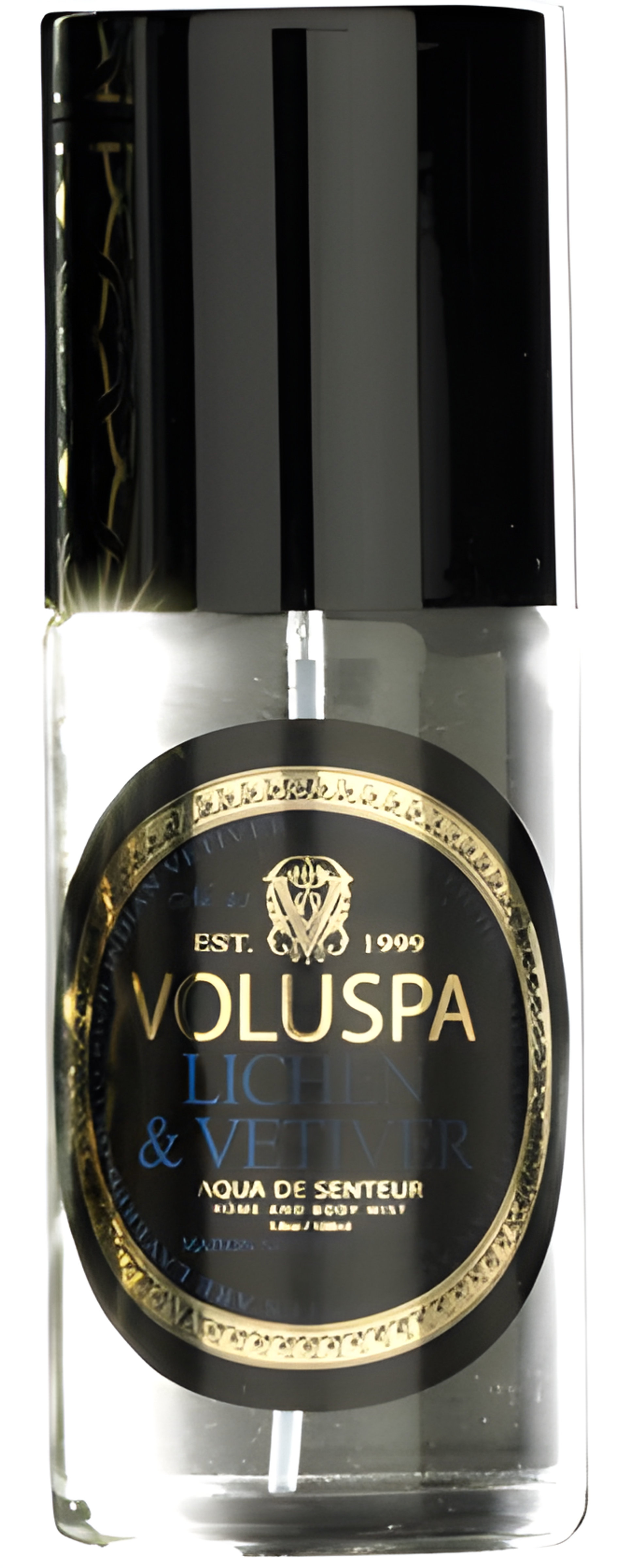 Picture of Lichen & Vetiver fragrance