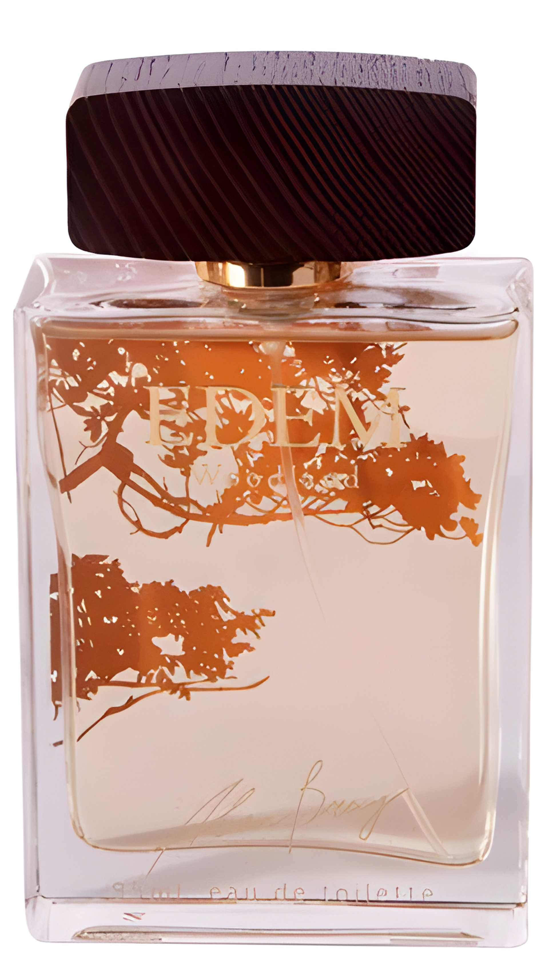 Picture of Woodland fragrance