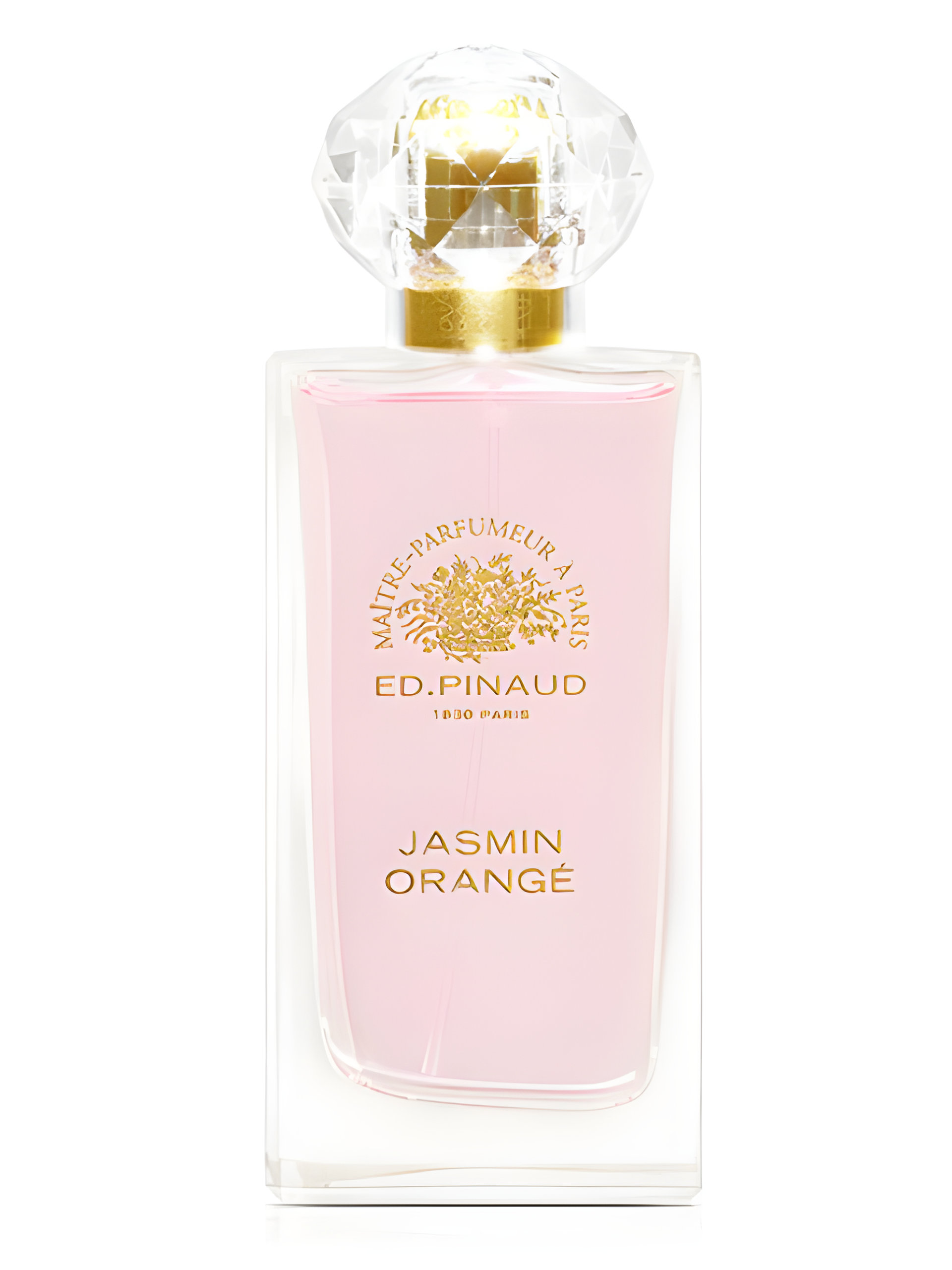 Picture of Jasmin Orangé fragrance