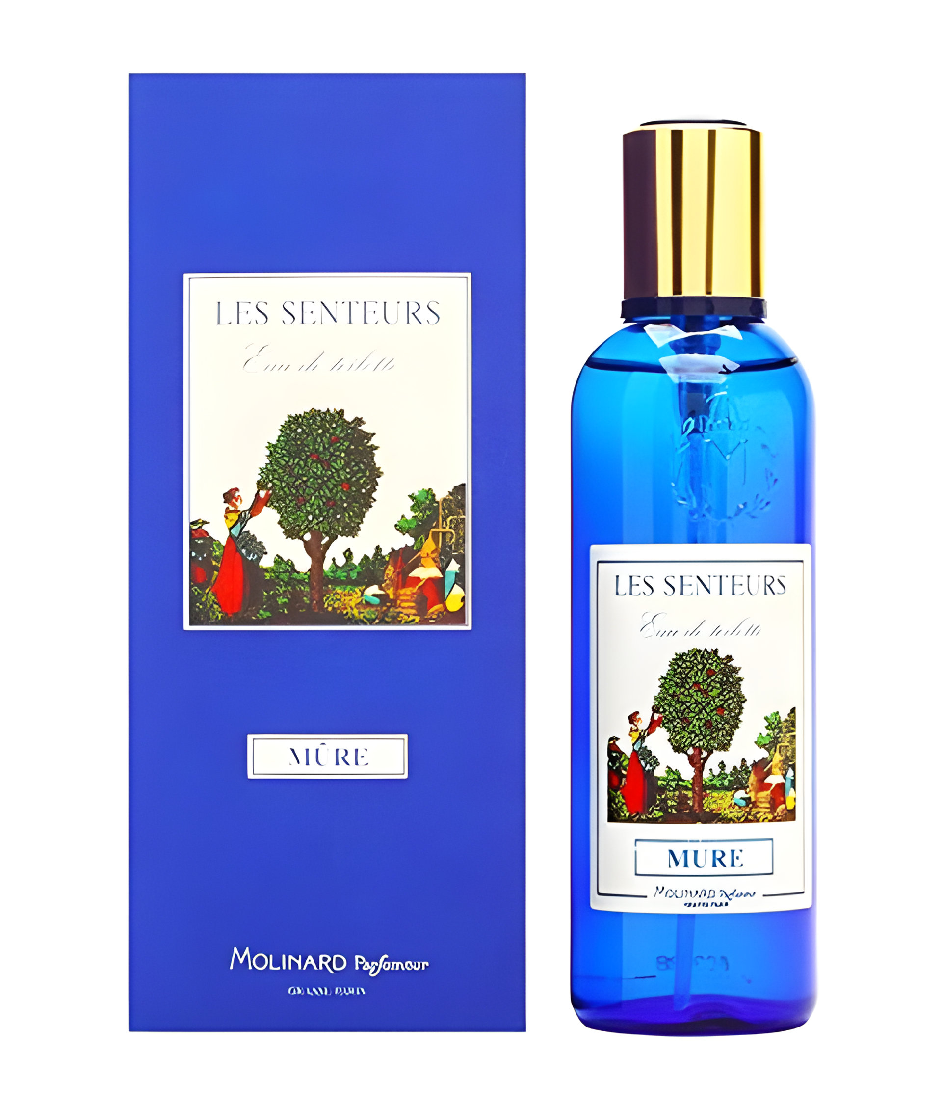 Picture of Les Senteurs Mure fragrance