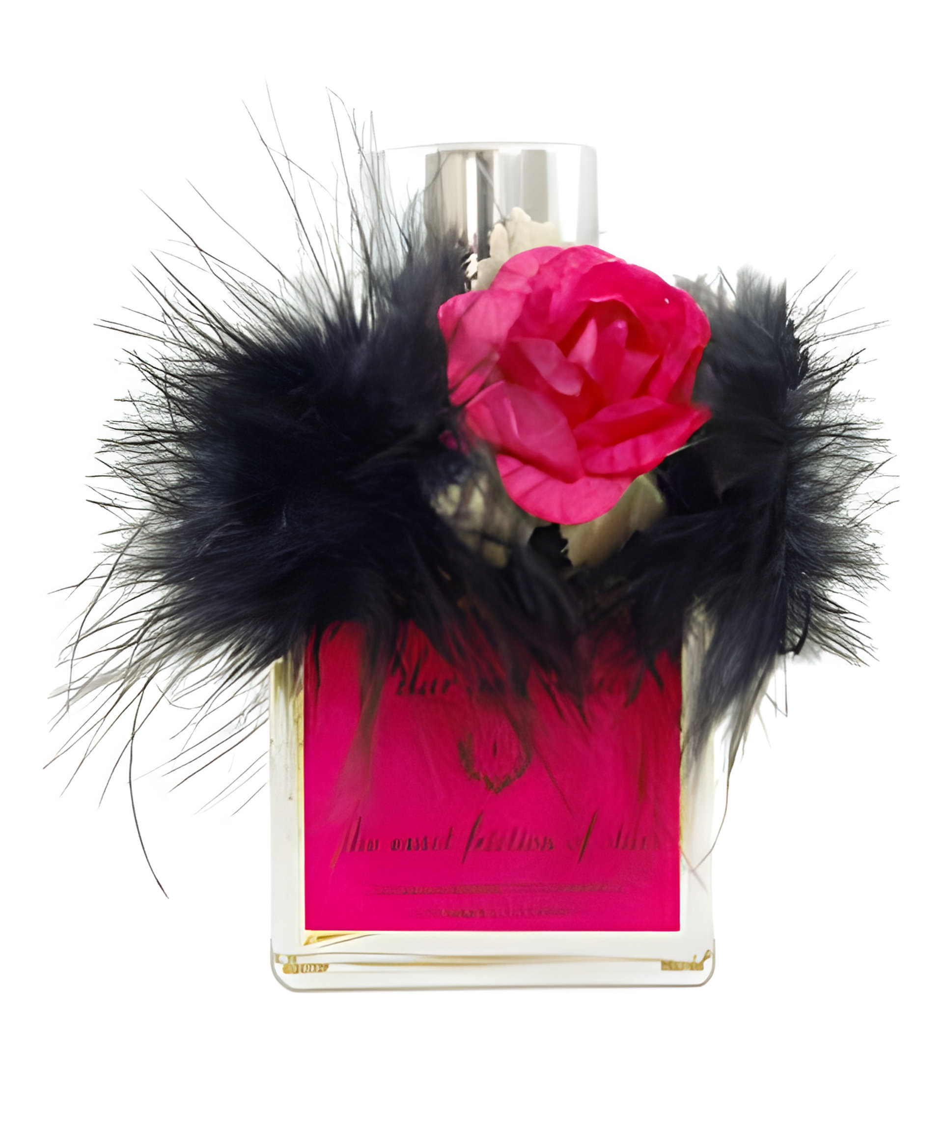 Picture of The Exact Friction of Stars fragrance