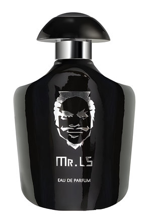Mr. LS by La Signore The Fragrance perfume bottle