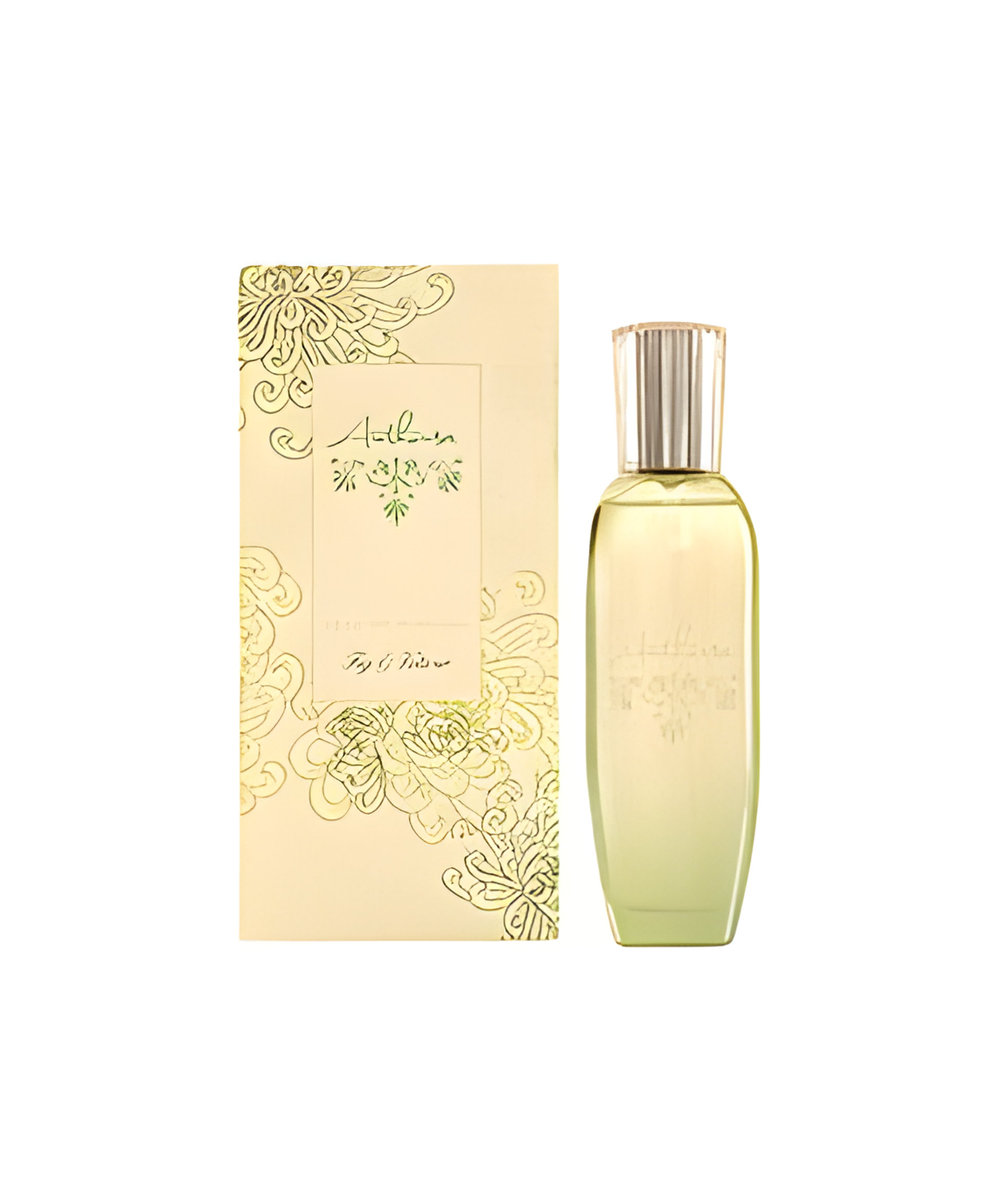 Picture of Fig & Vetiver fragrance