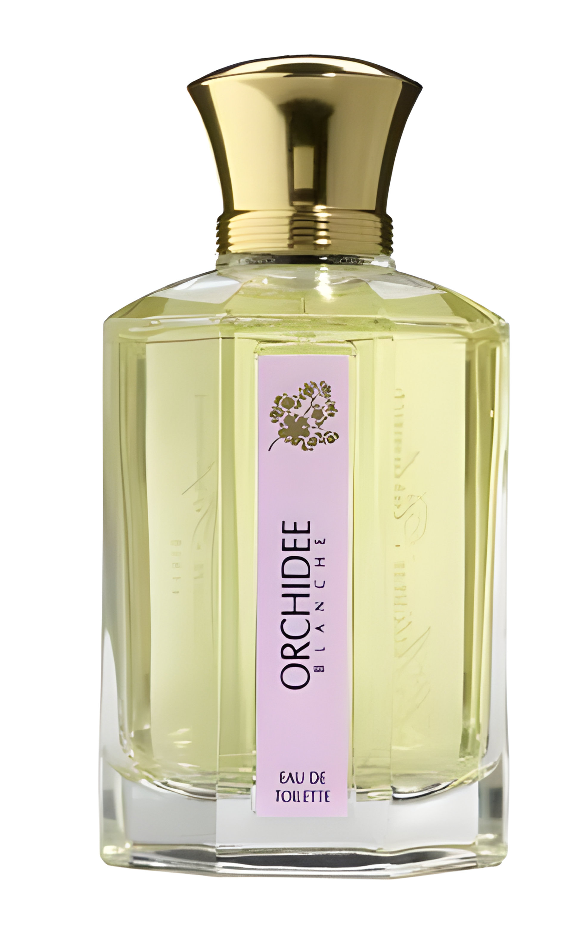 Picture of Orchidee Blanche fragrance