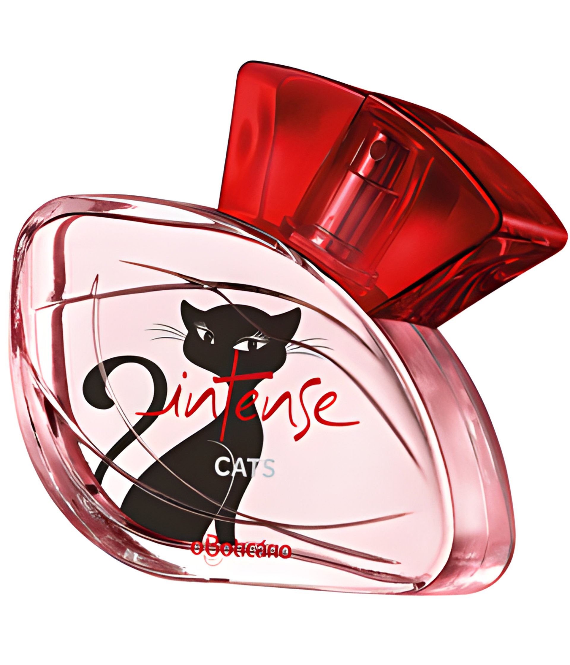 Intense Cats by O Boticário