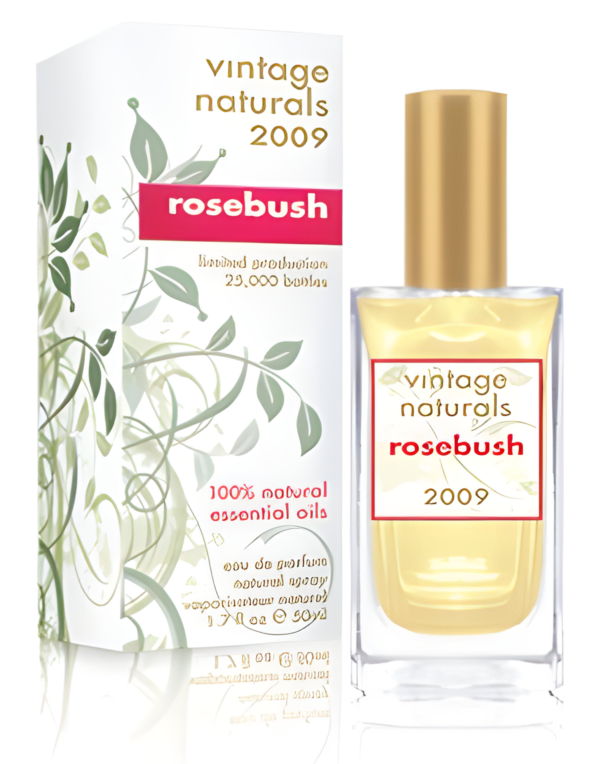 Picture of Vintage Naturals 2009 Rosebush fragrance