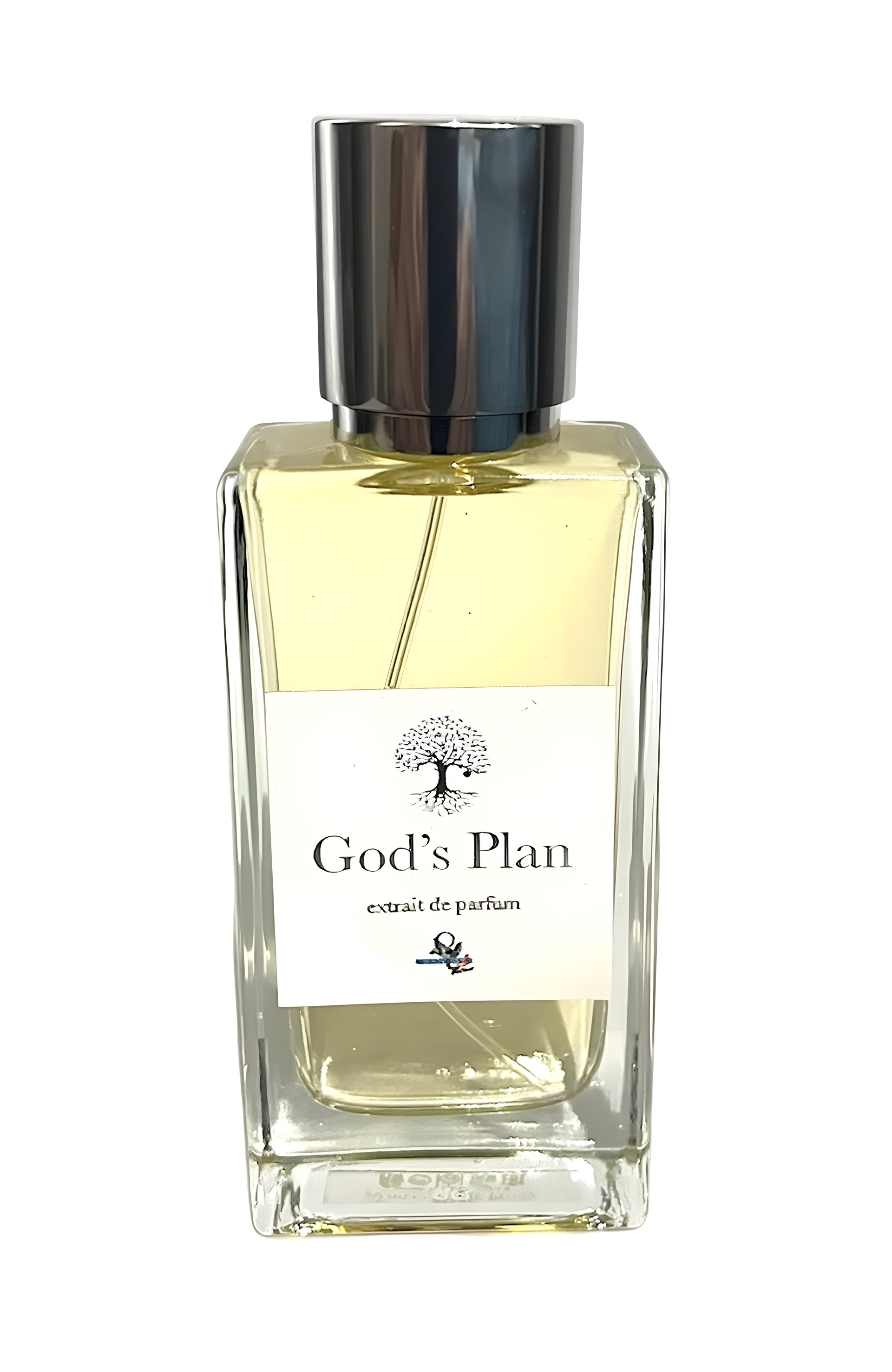 Picture of God's Plan fragrance