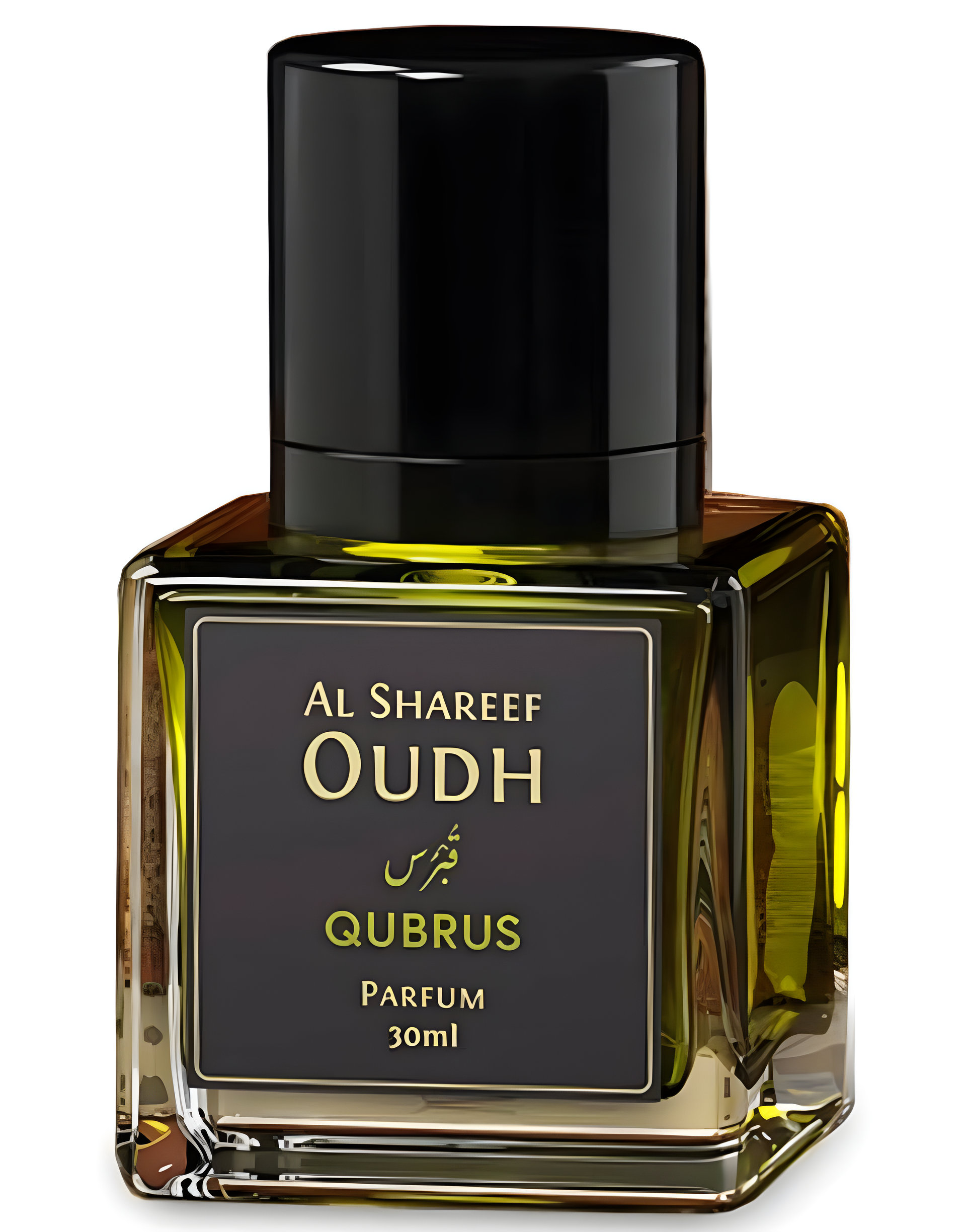 Picture of Qubrus fragrance