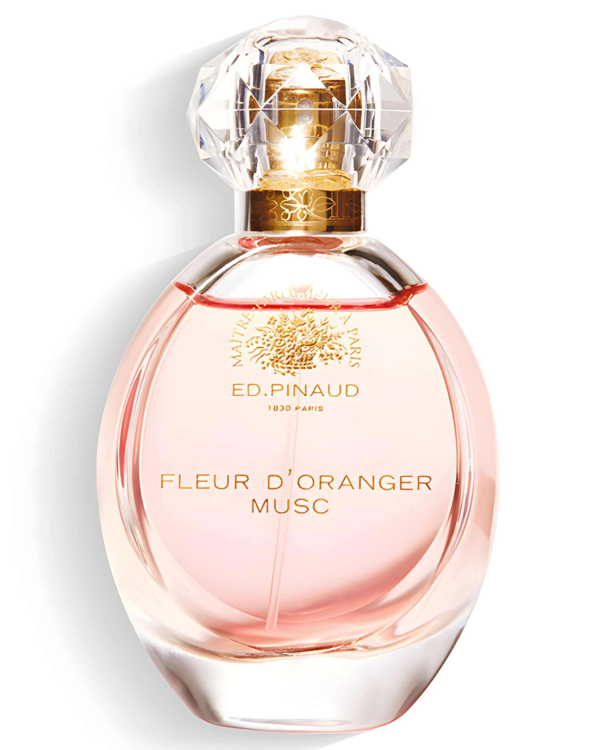 Picture of Fleur d'Oranger Musc fragrance