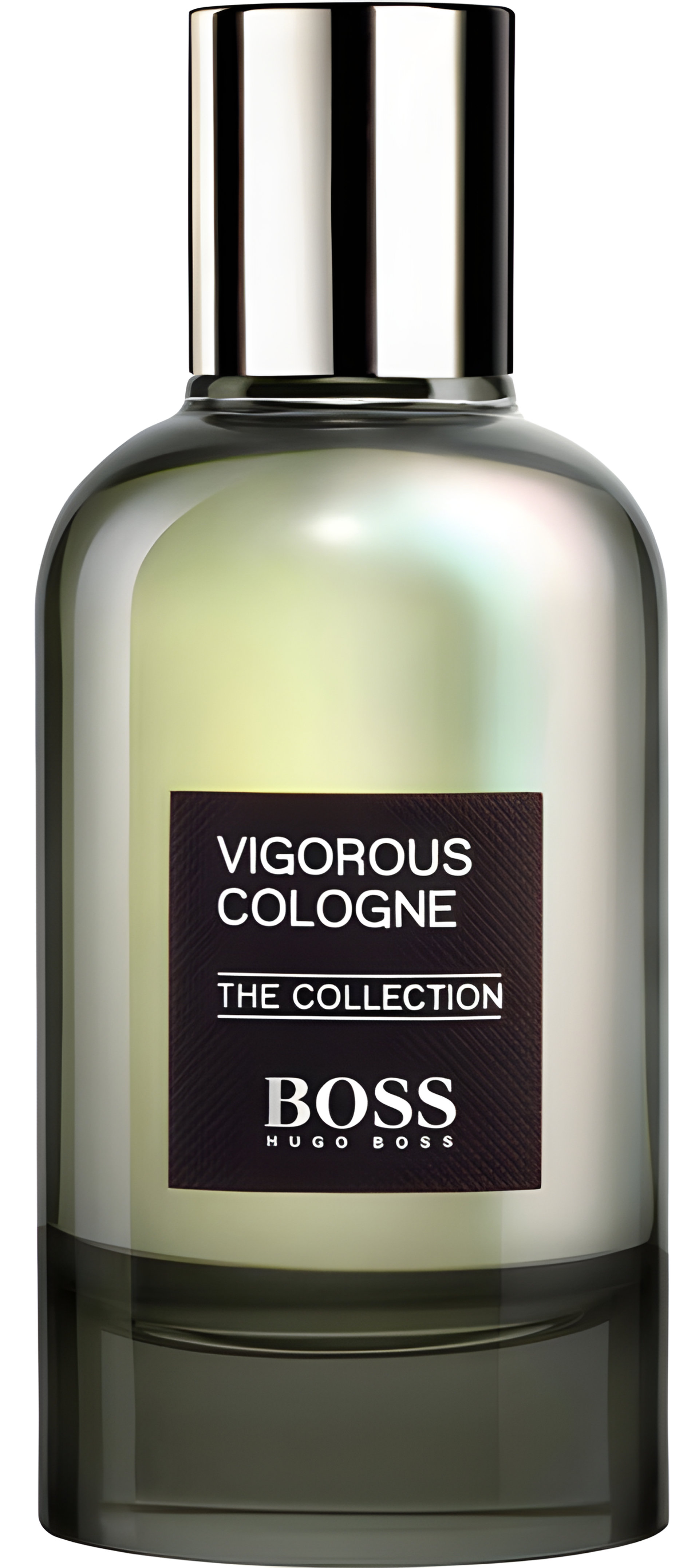 Picture of The Collection Vigorous Cologne fragrance