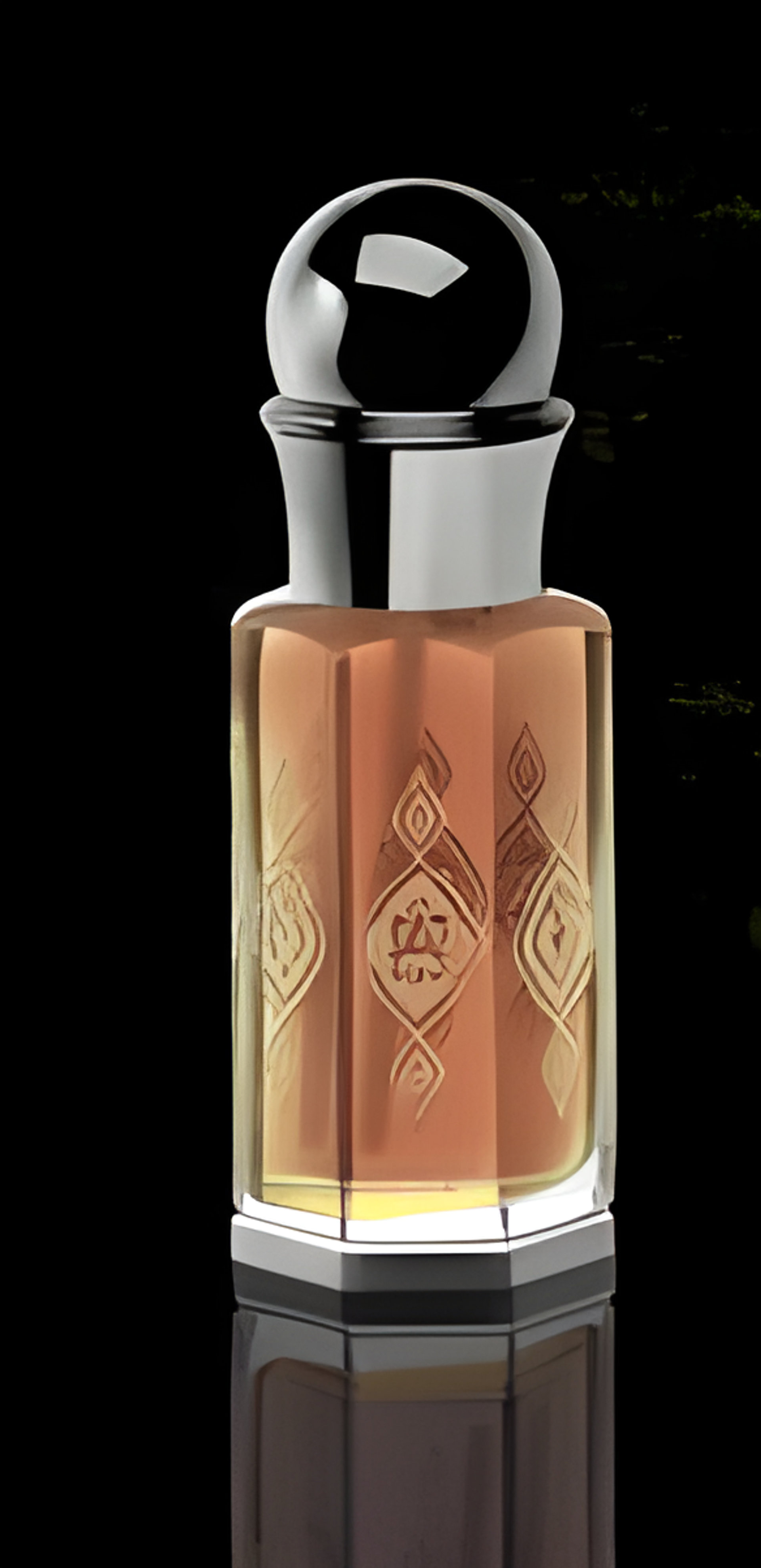 Fol Roses by Abdul Samad Al Qurashi