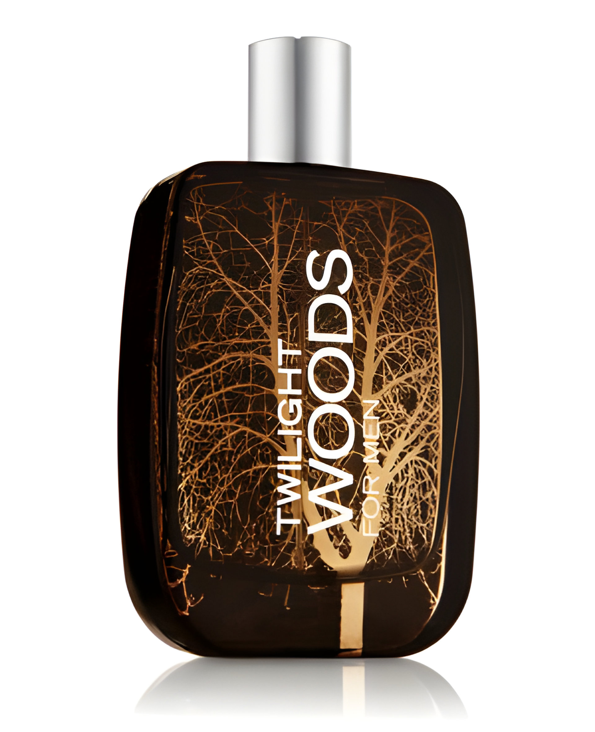 Picture of Twilight Woods for Men fragrance