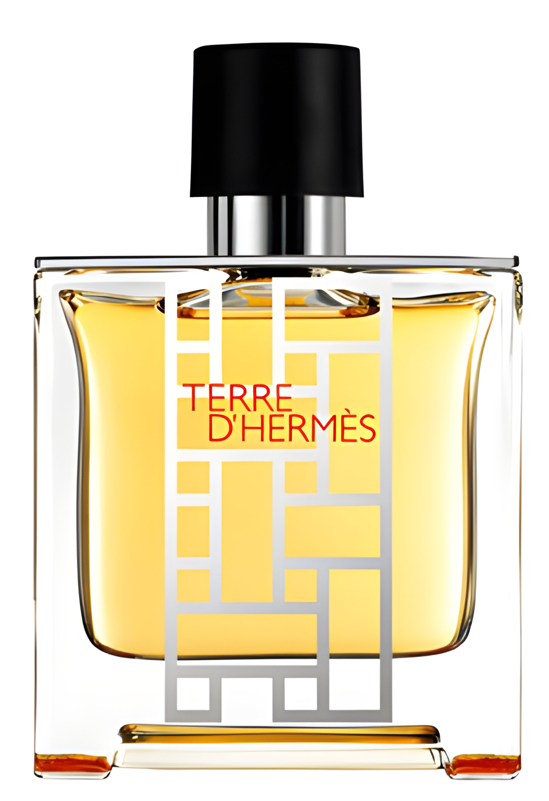 Picture of Terre d'Hermès Flacon H 2013 fragrance