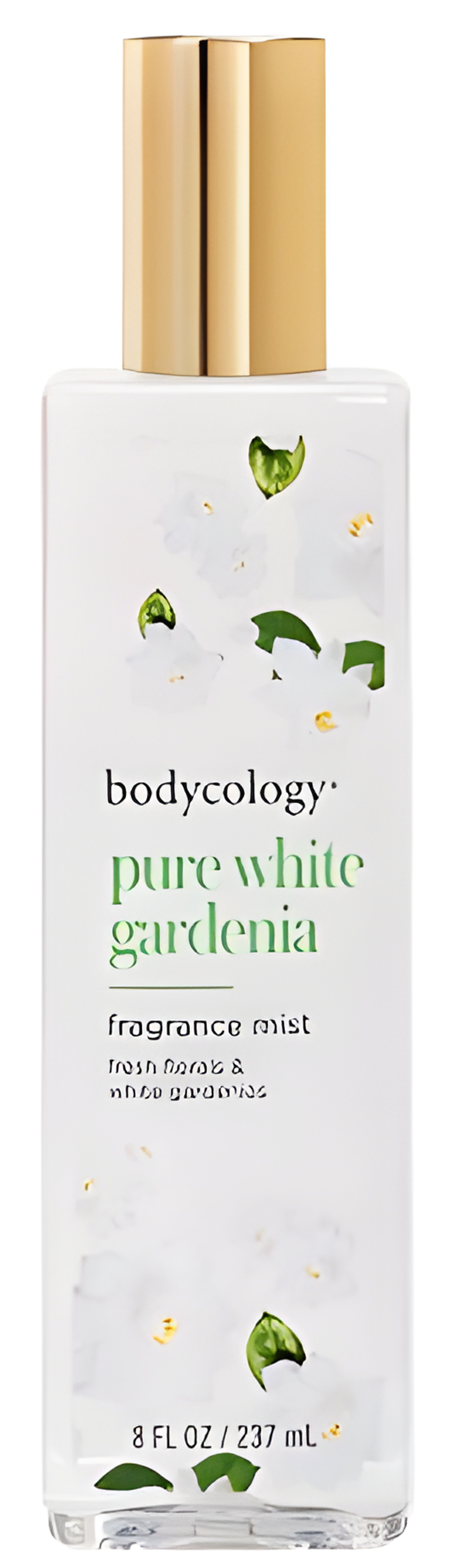 Picture of Pure White Gardenia fragrance