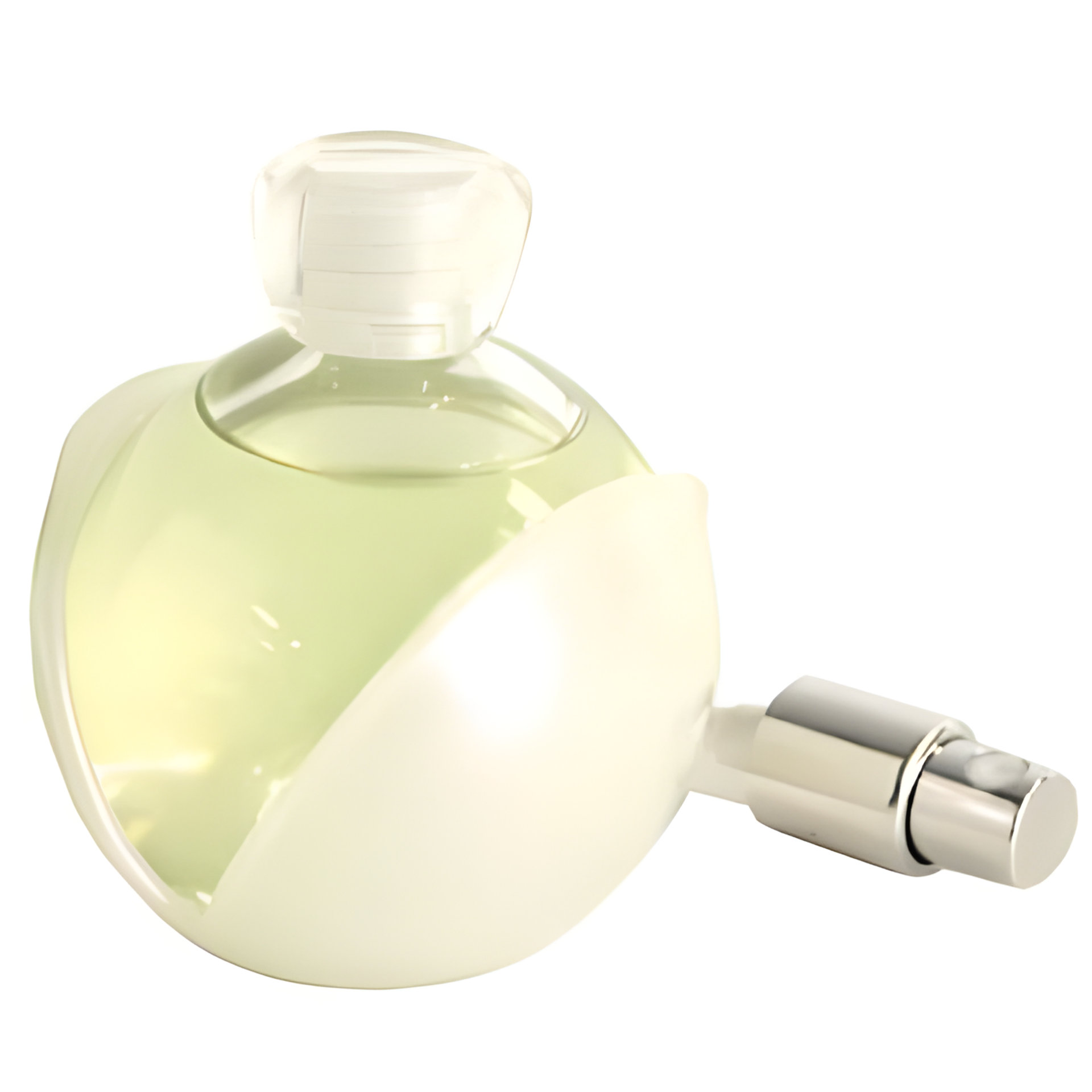Picture of Noa L'Eau de Parfum fragrance