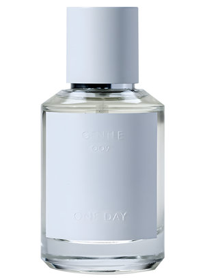 009 Gentle by One Day perfume bottle