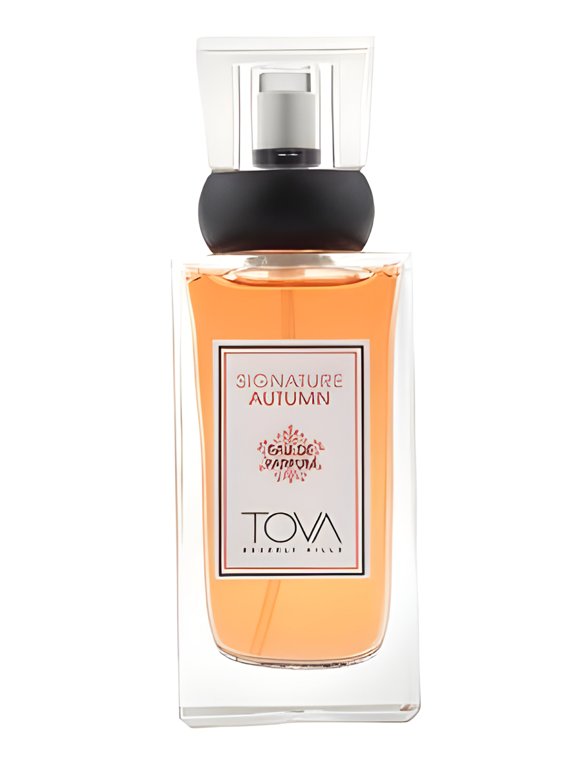Picture of Tova Signature Autumn fragrance
