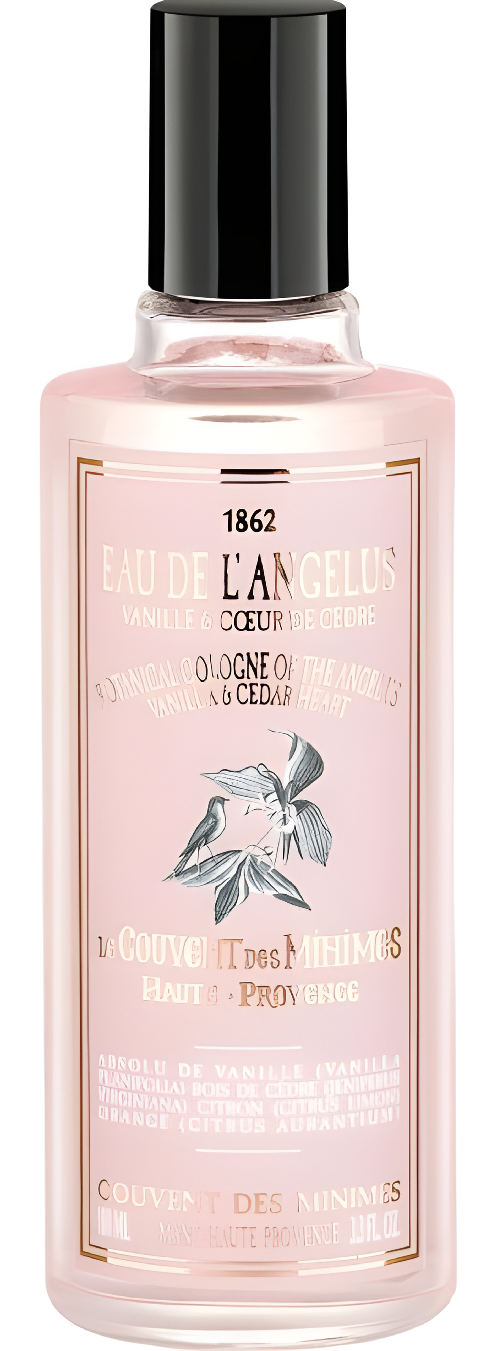 Picture of Eau de l'Angelus fragrance