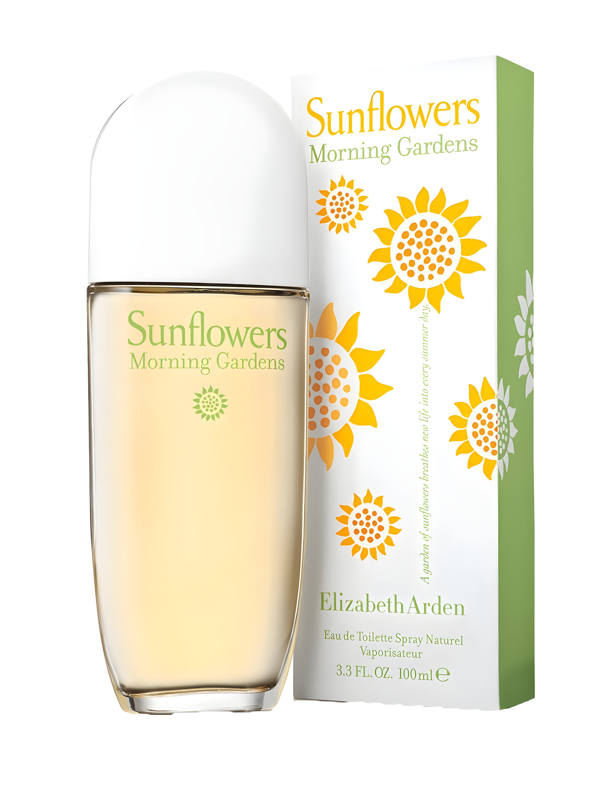 Picture of Sunflowers Morning Gardens fragrance
