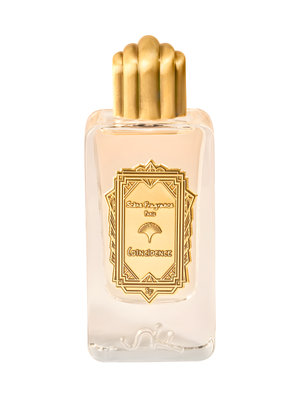 Coïncidence by Scène Fragrance perfume bottle
