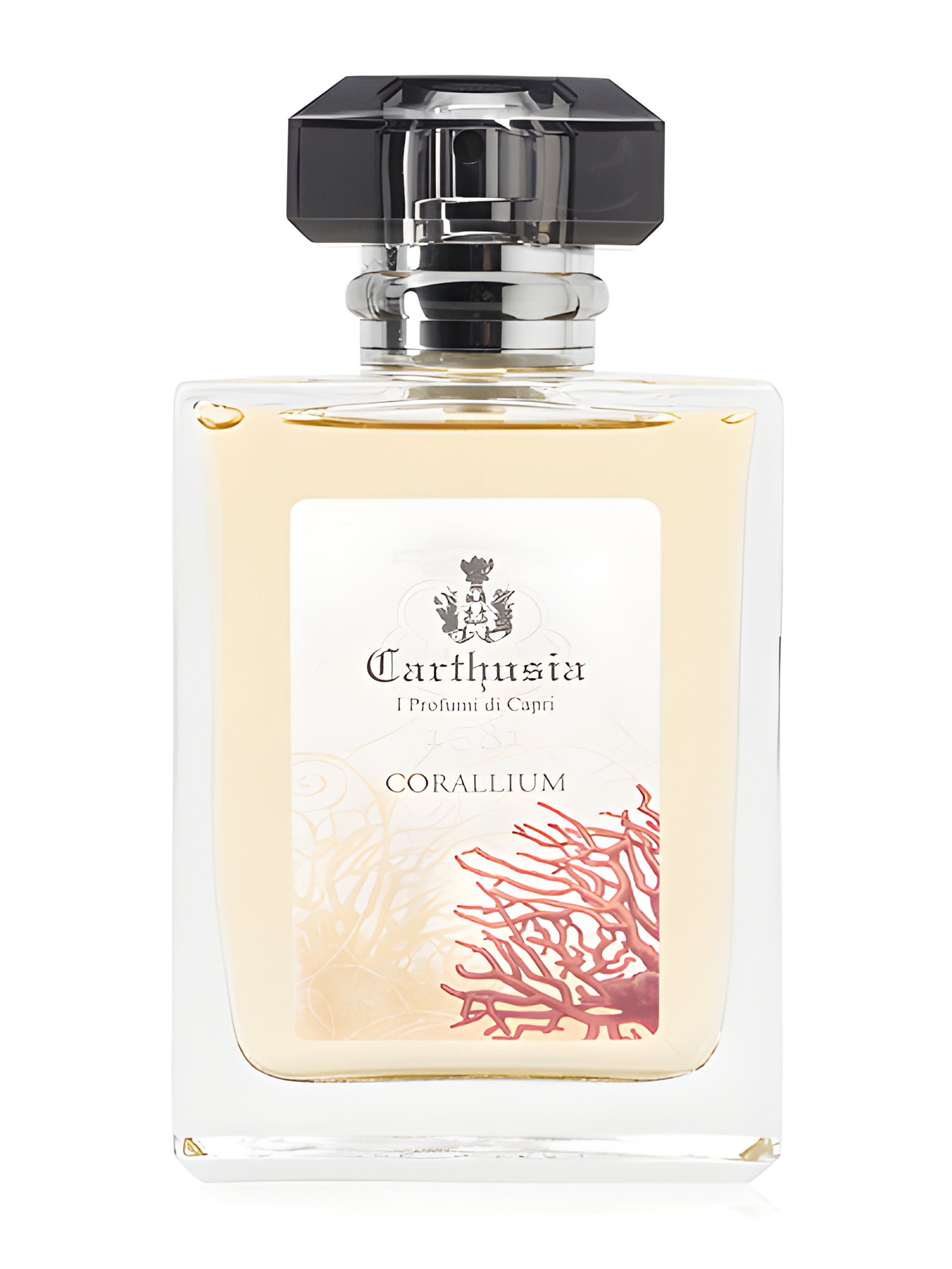 Picture of Corallium fragrance