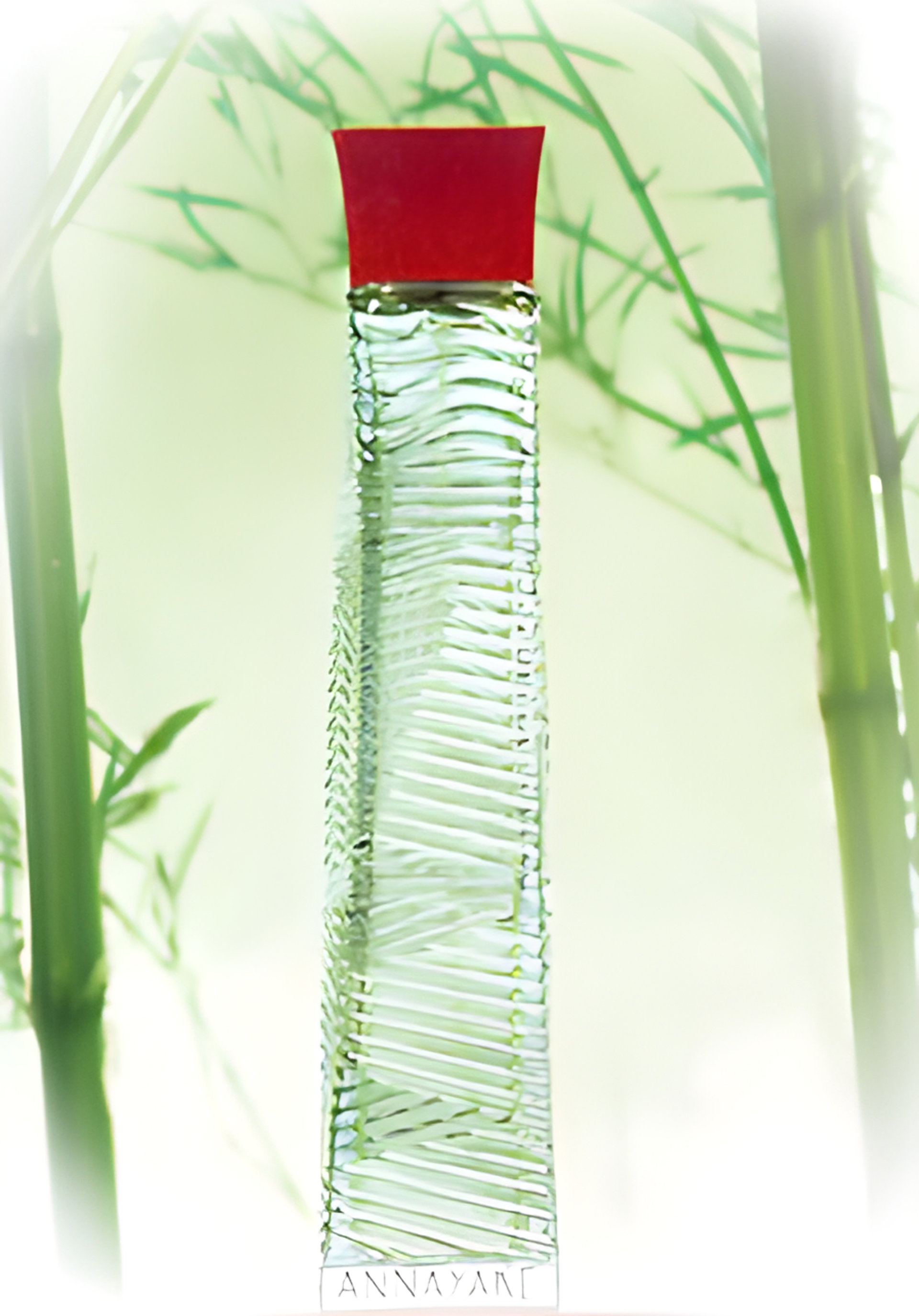 Picture of Natsumi fragrance