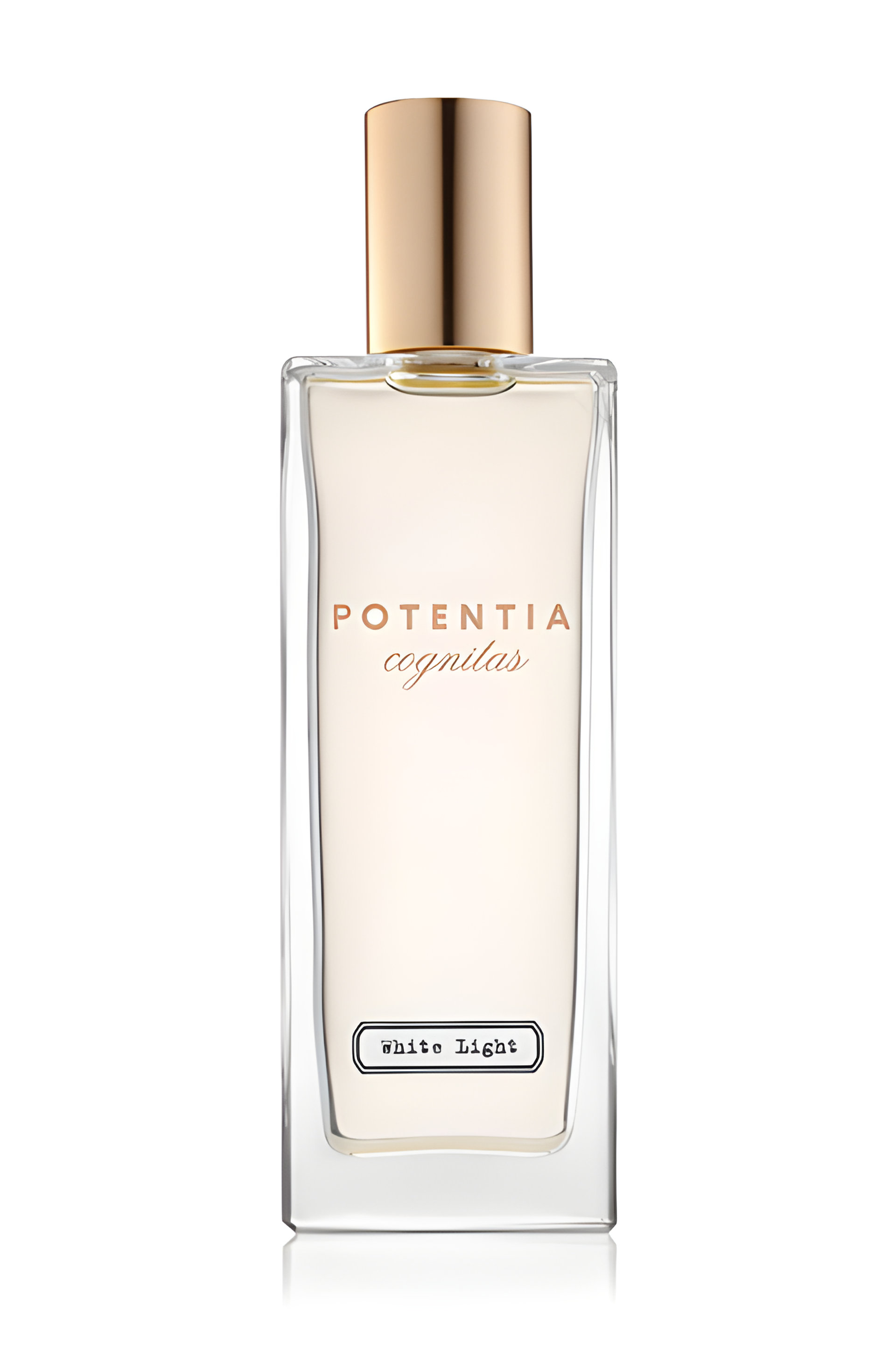 Picture of White Light fragrance