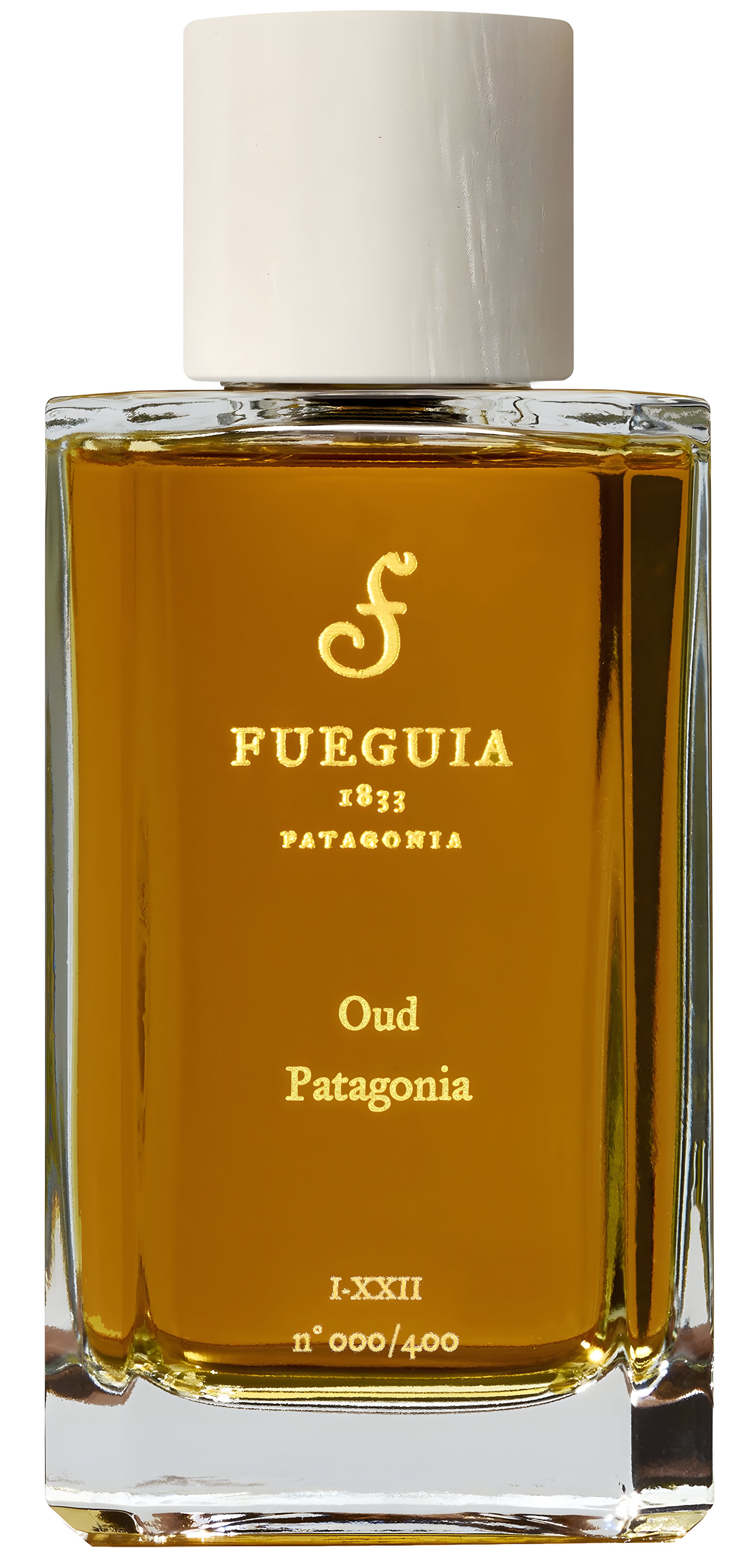 Oud Patagonia by Fueguia 1833 perfume bottle