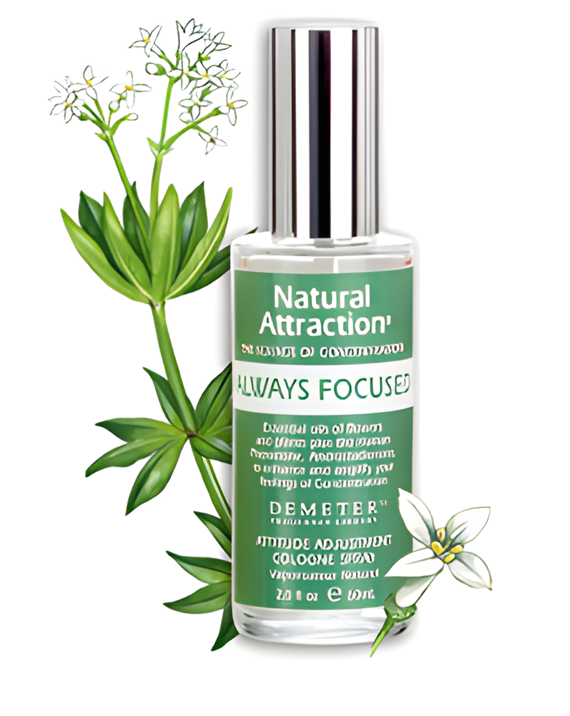 Picture of Always Focused fragrance