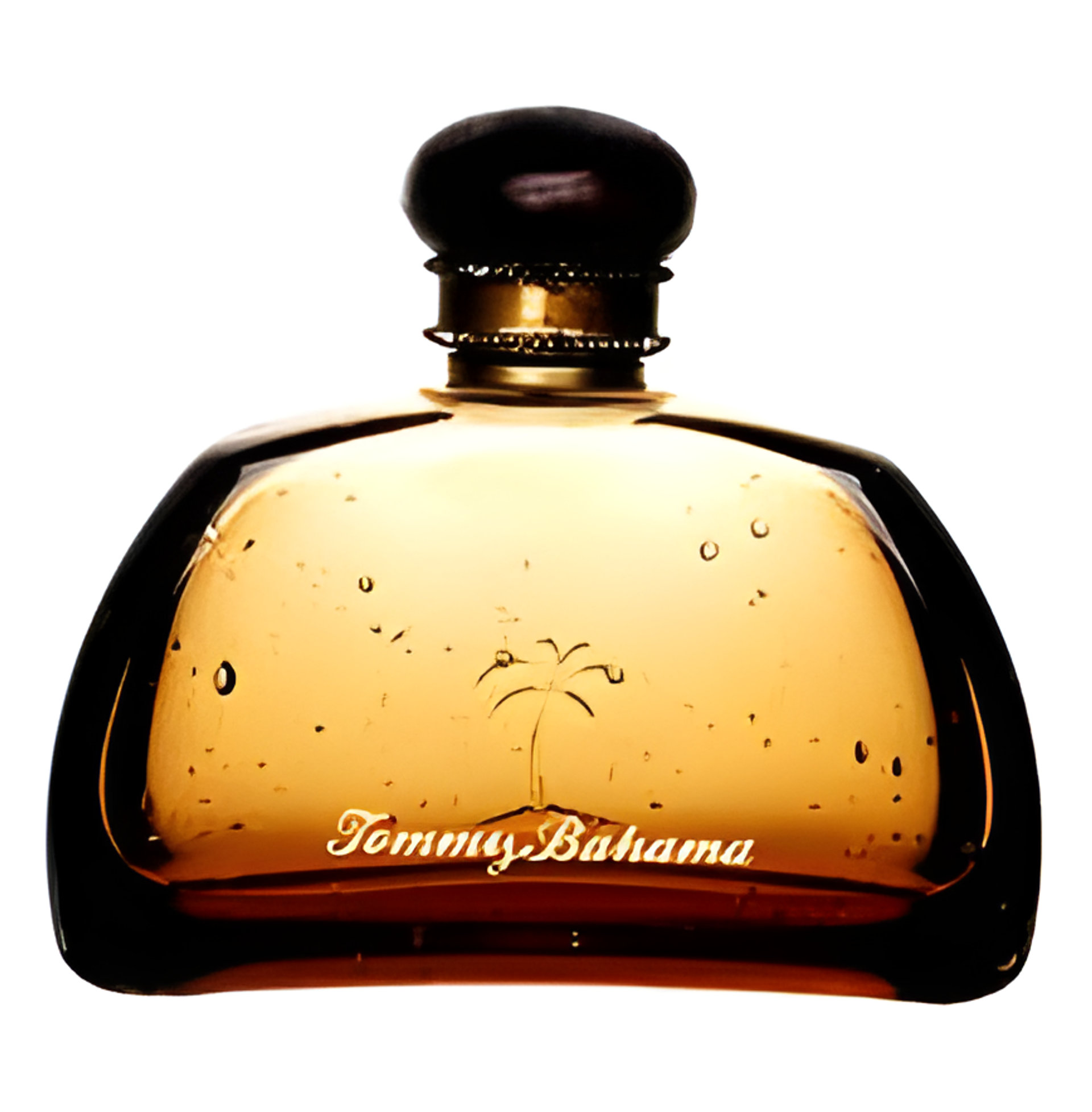 Picture of Tommy Bahama Men fragrance