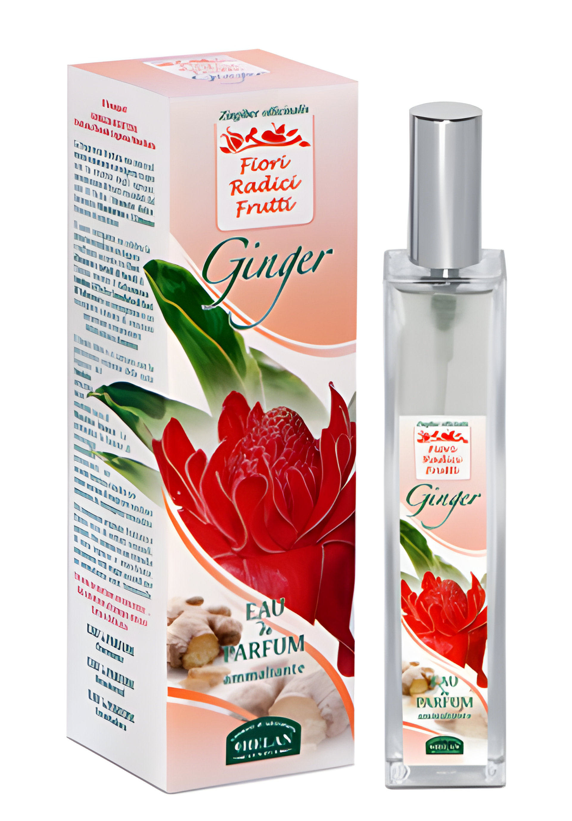 Picture of Ginger fragrance