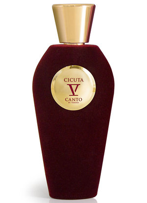 Cicuta by V Canto perfume bottle