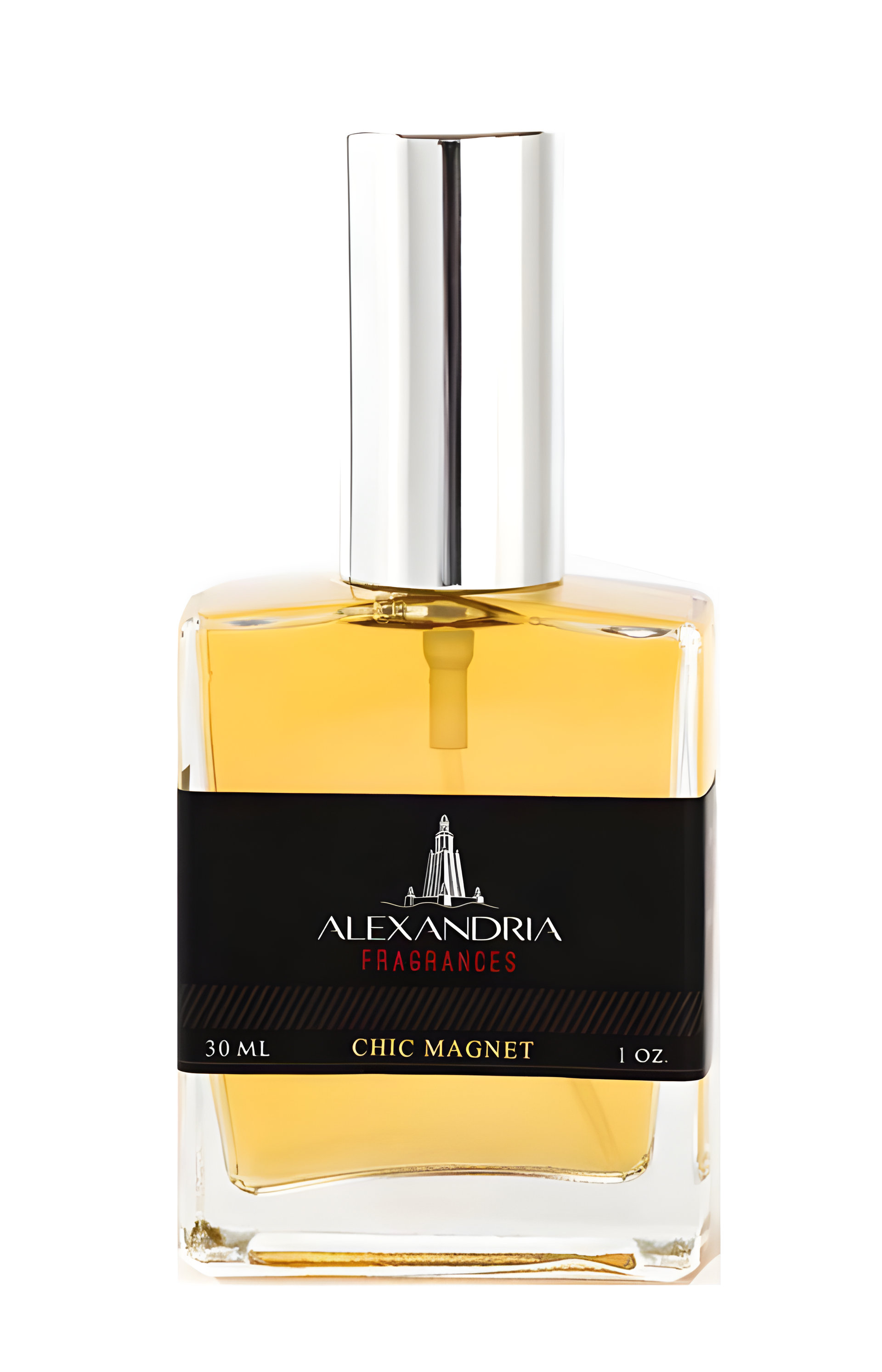 Picture of Chic Magnet fragrance