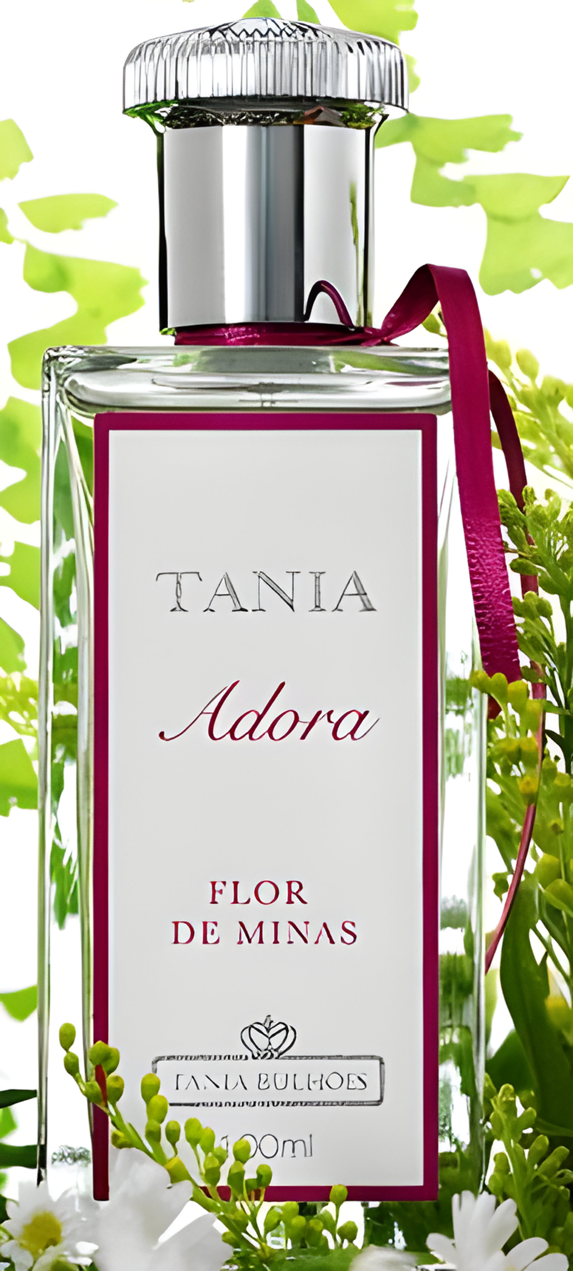 Picture of Flor de Minas fragrance