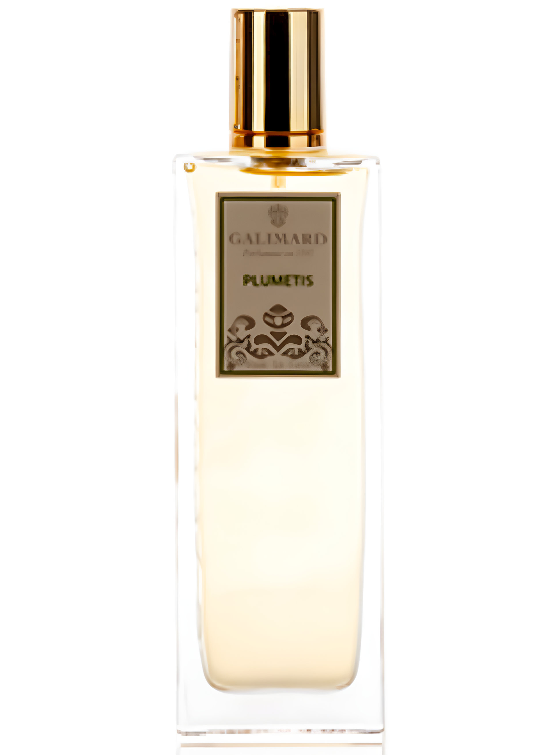 Picture of Plumetis fragrance