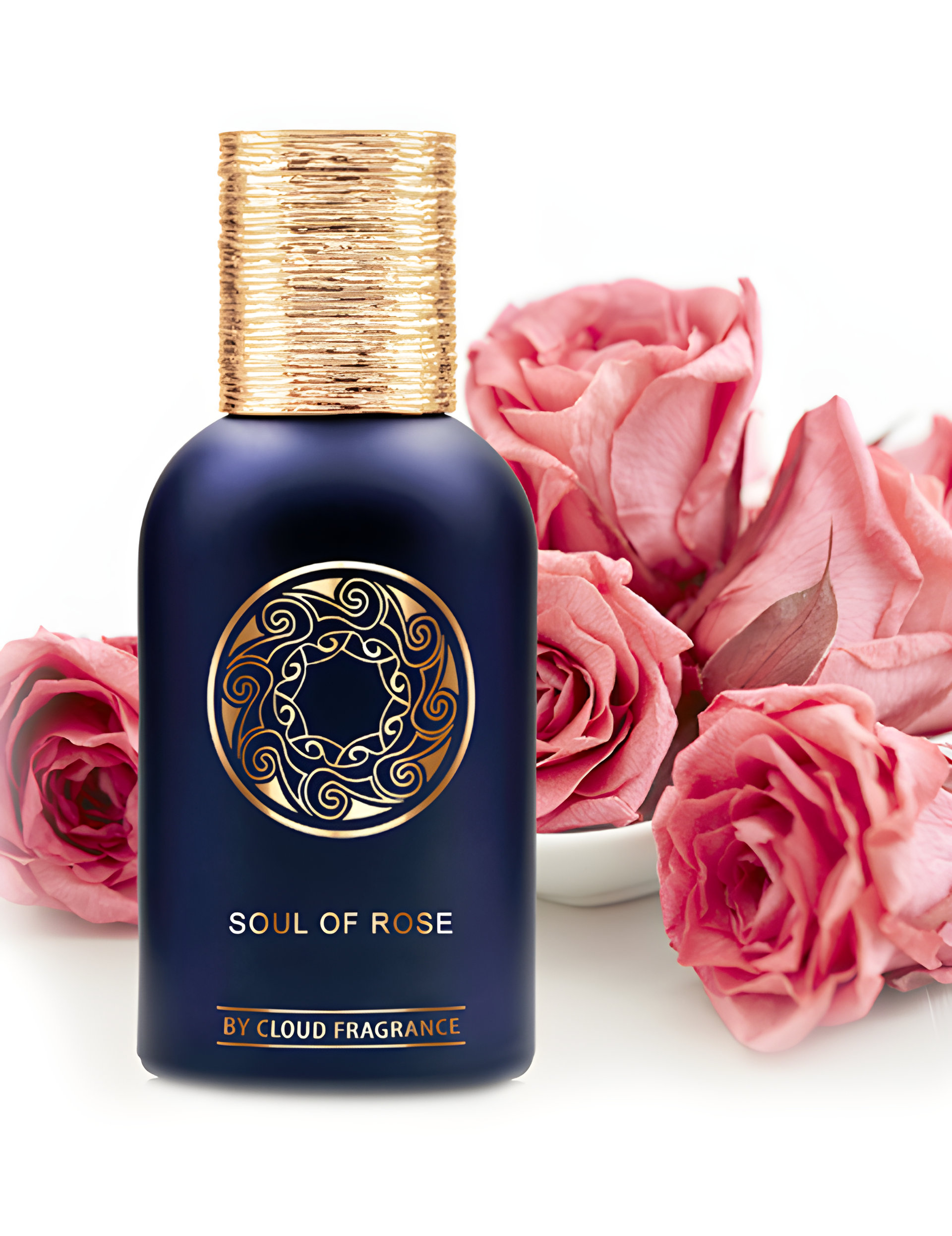 Soul of Rose by By Cloud