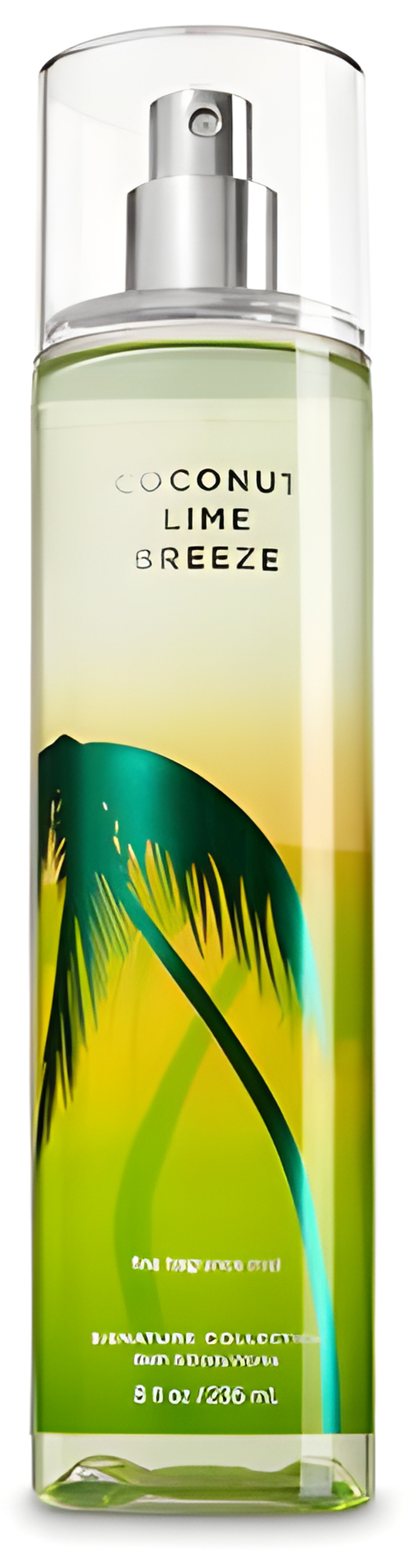 Picture of Coconut Lime Breeze fragrance
