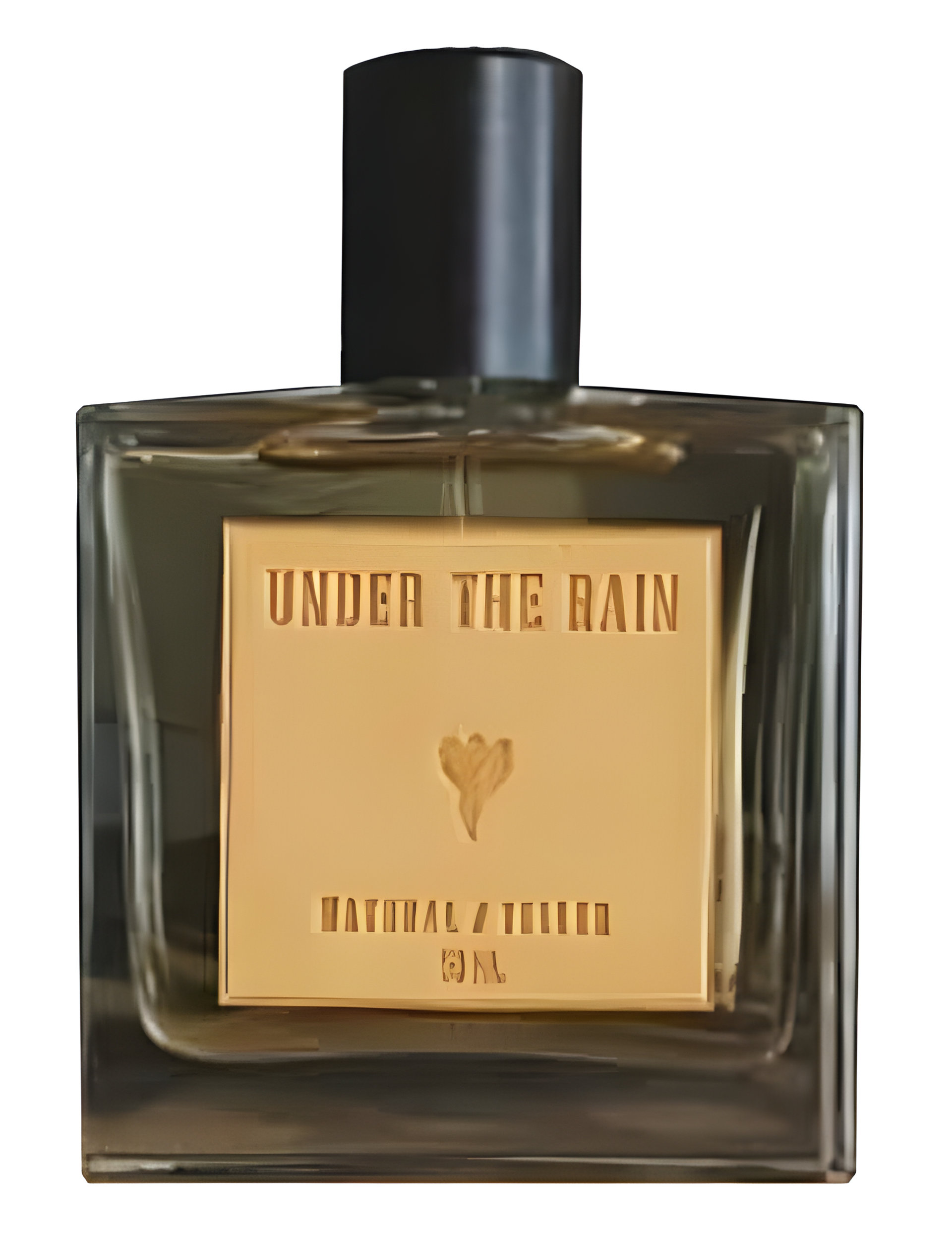 Picture of Under the Rain fragrance