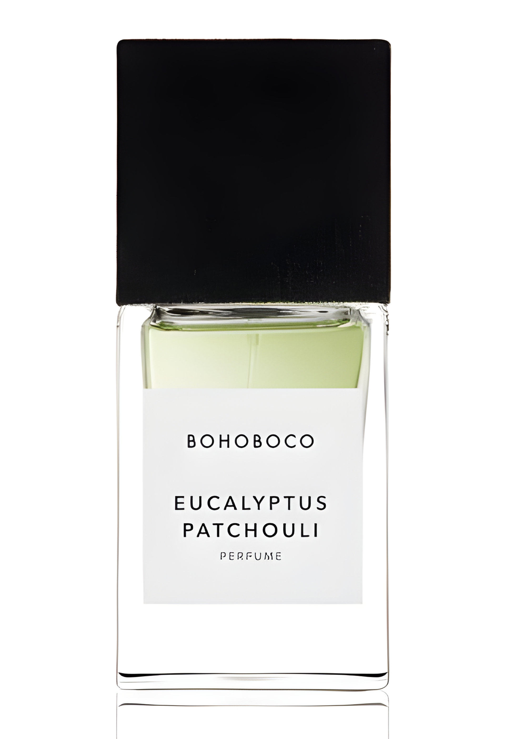 Picture of Eucalyptus Patchouli fragrance
