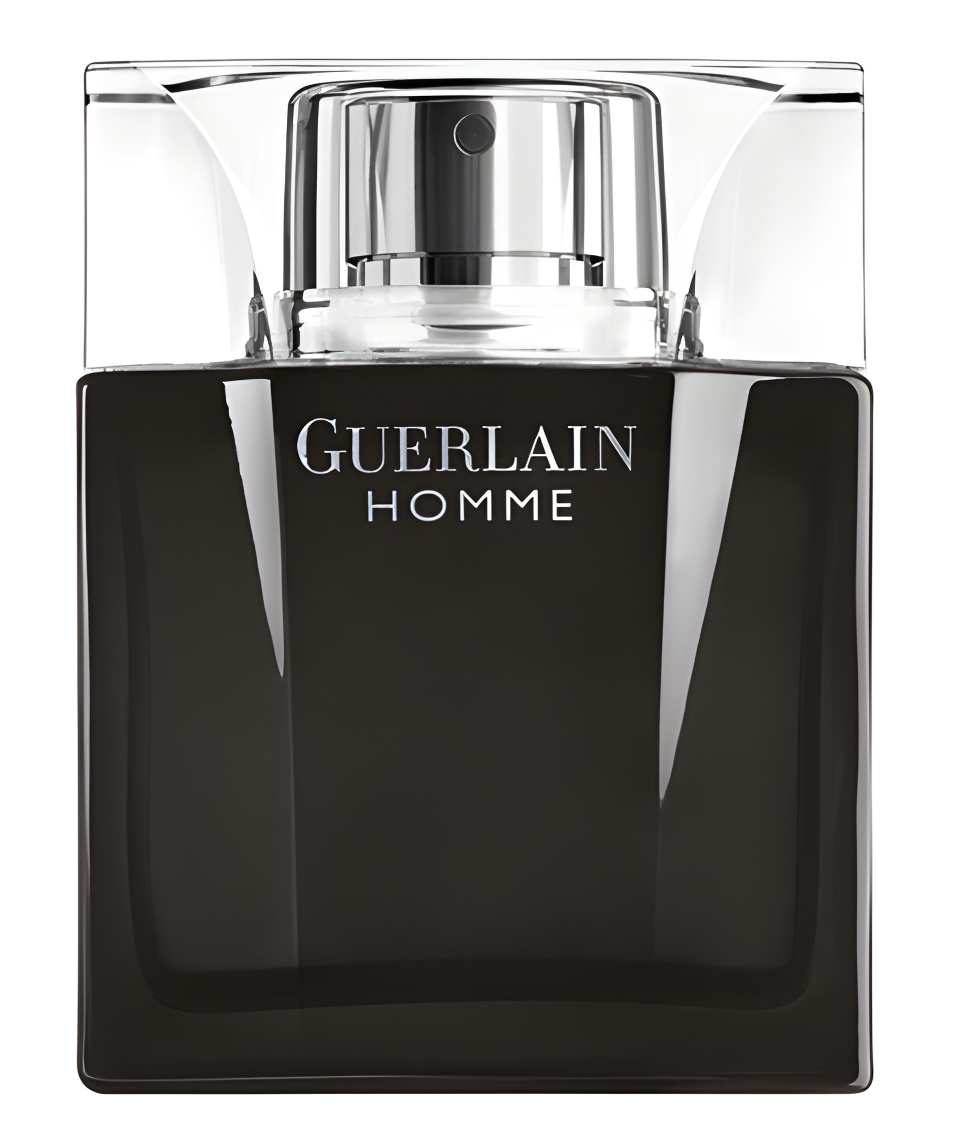 Picture of Guerlain Homme Intense fragrance