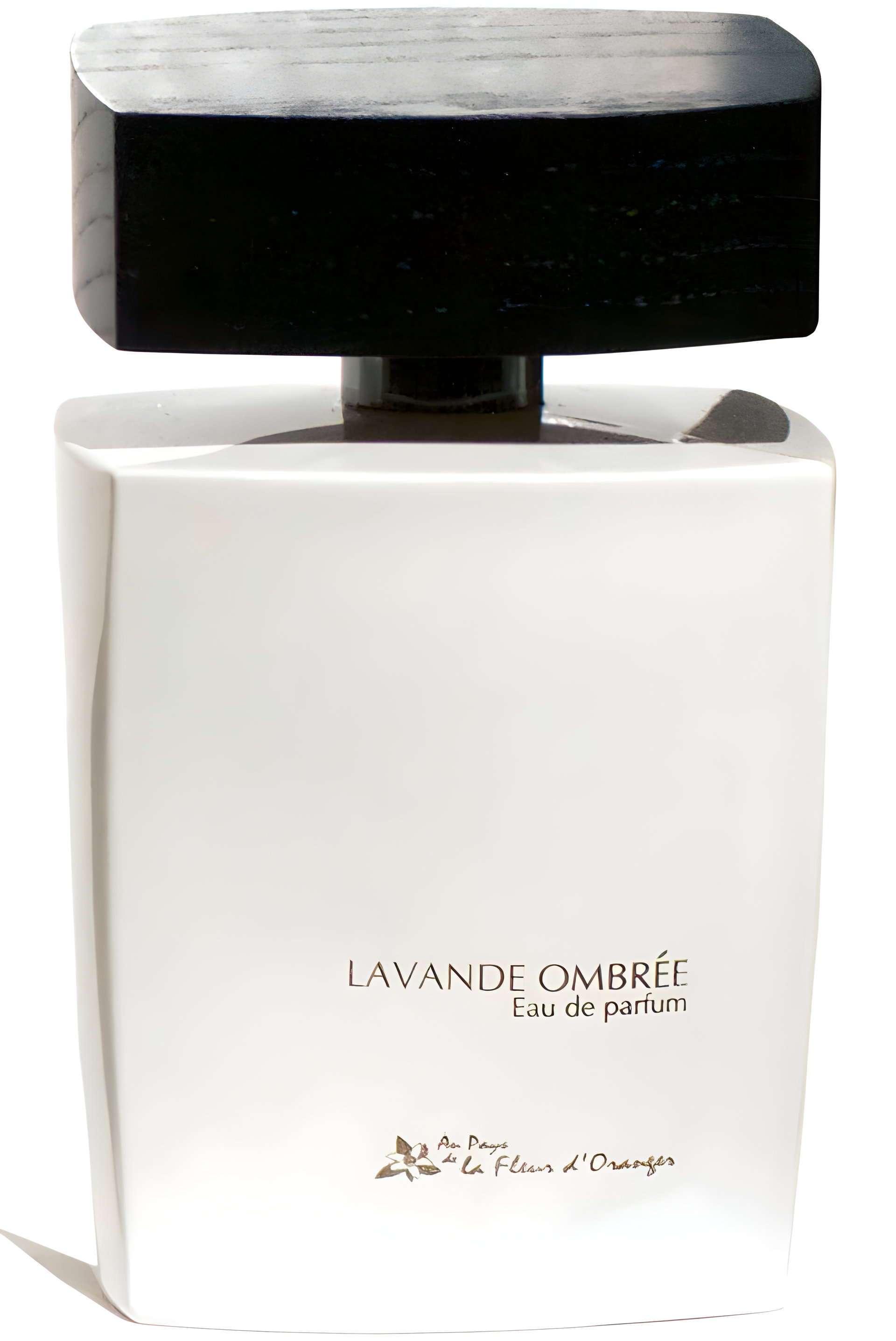 Picture of Lavande Ombree fragrance