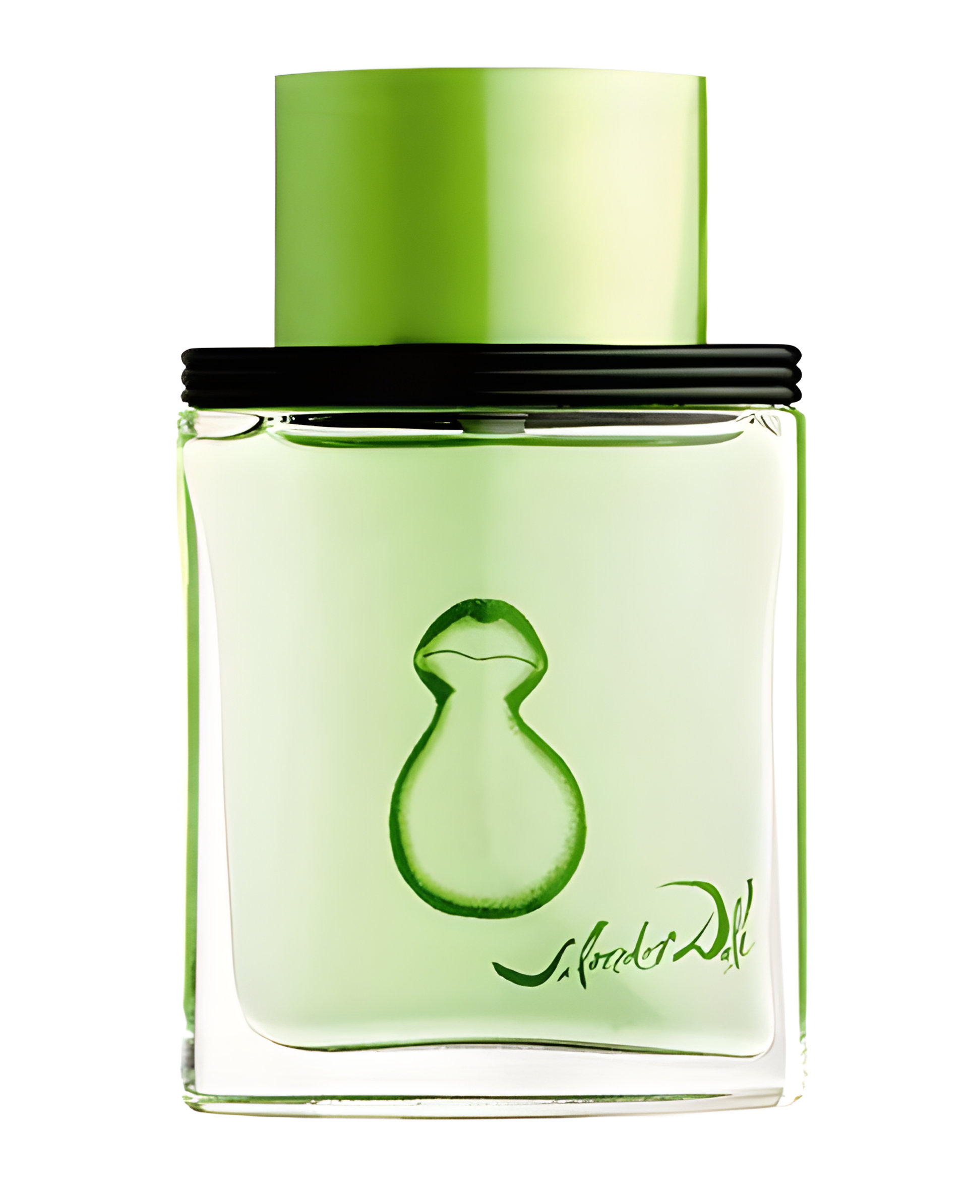 Picture of Agua Verde fragrance