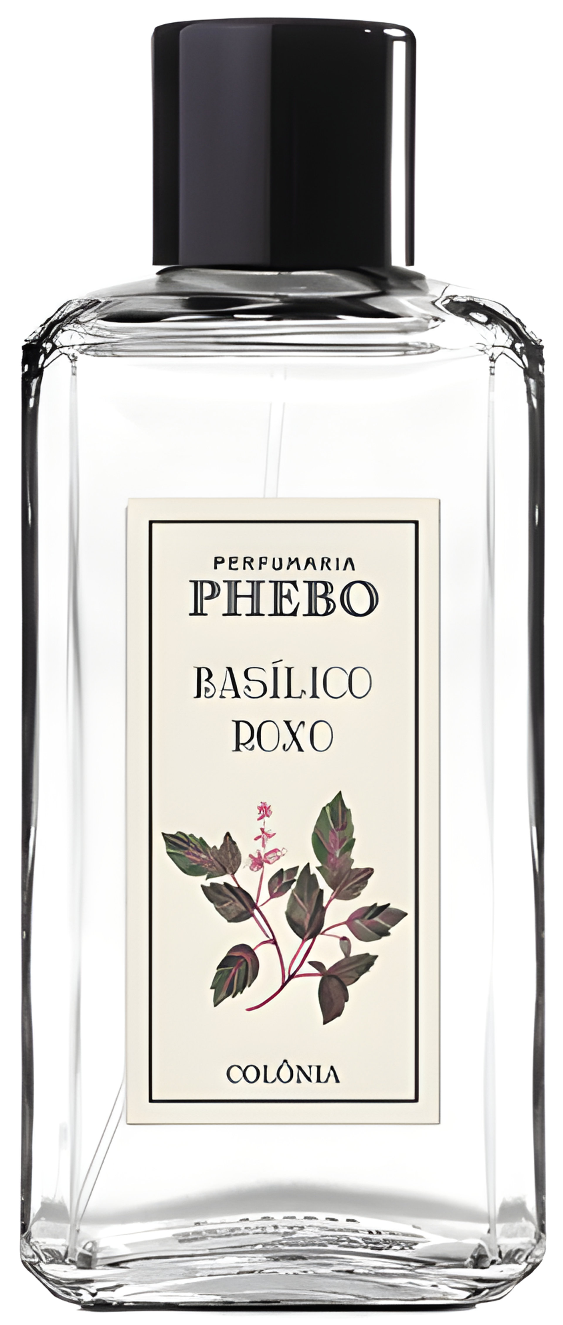 Picture of Basílico Roxo fragrance