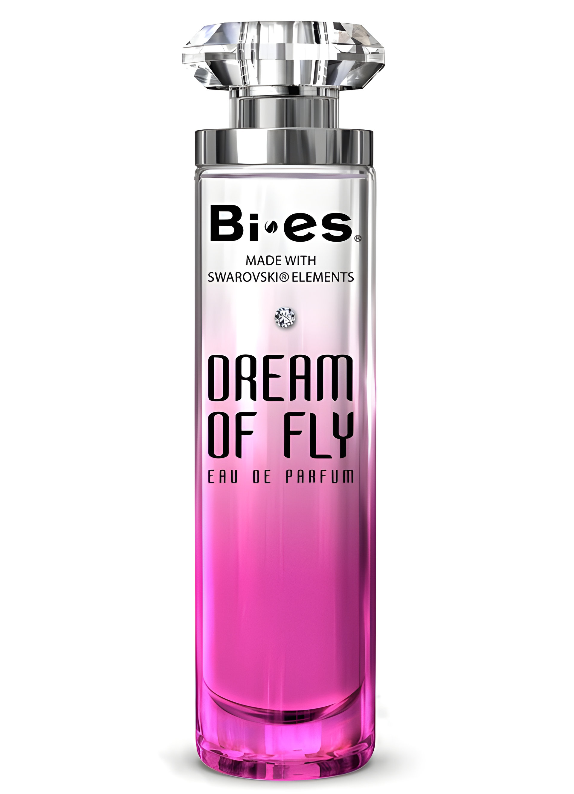 Dream of Fly by Bi-es
