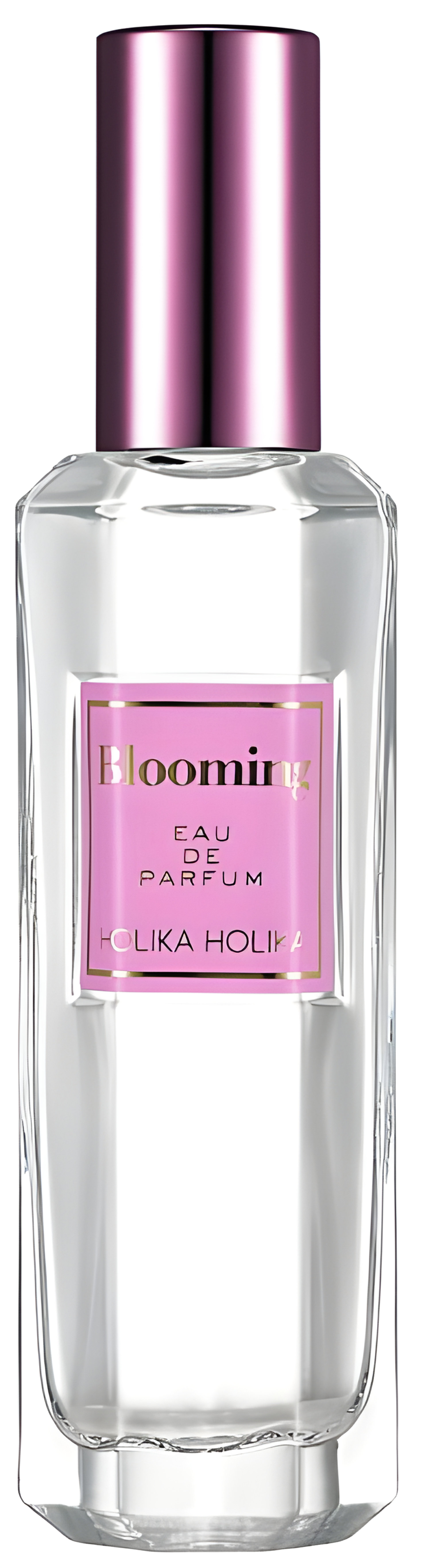 Picture of Blooming fragrance